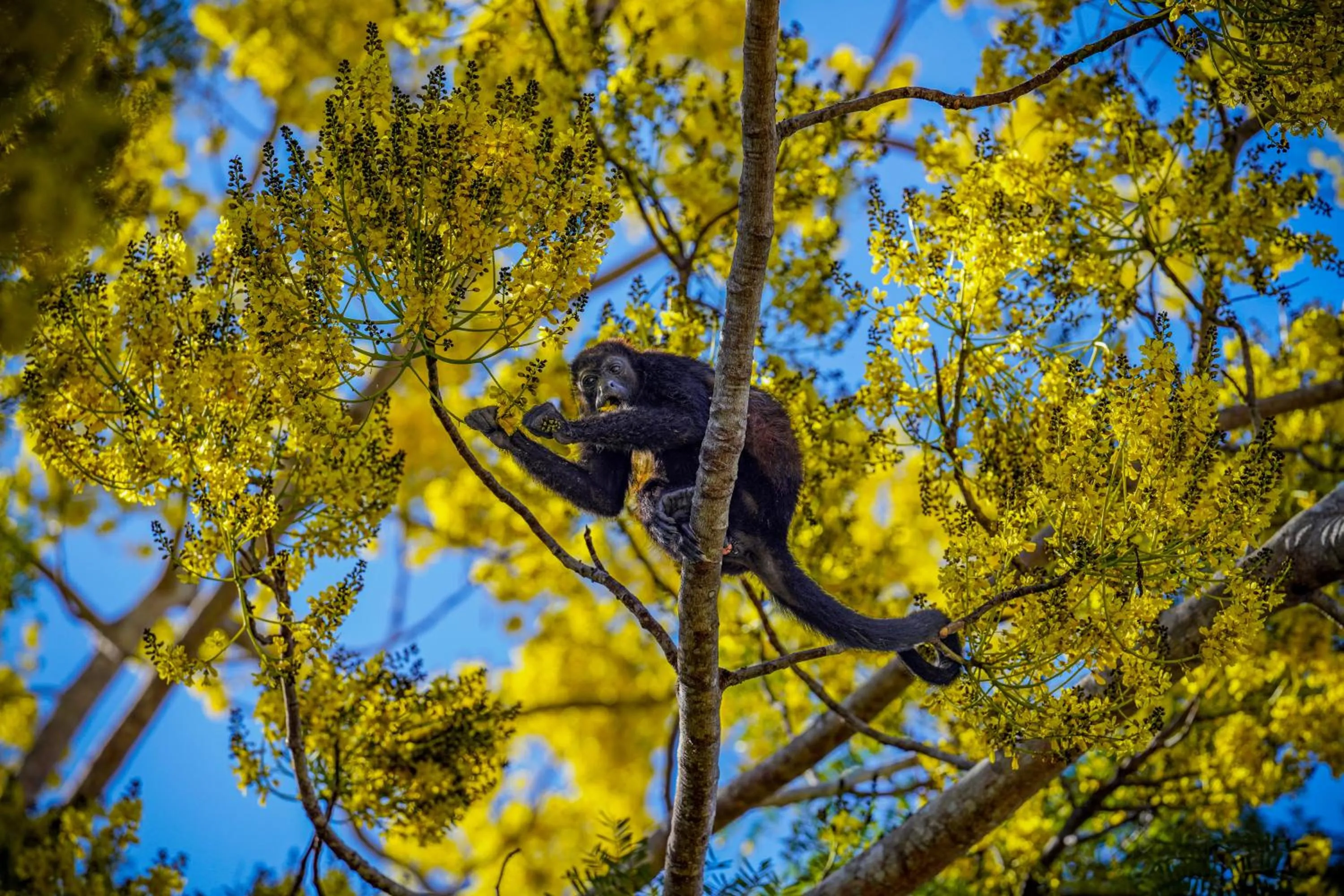 Natural landscape in Nammbú Beach Front Bungalows