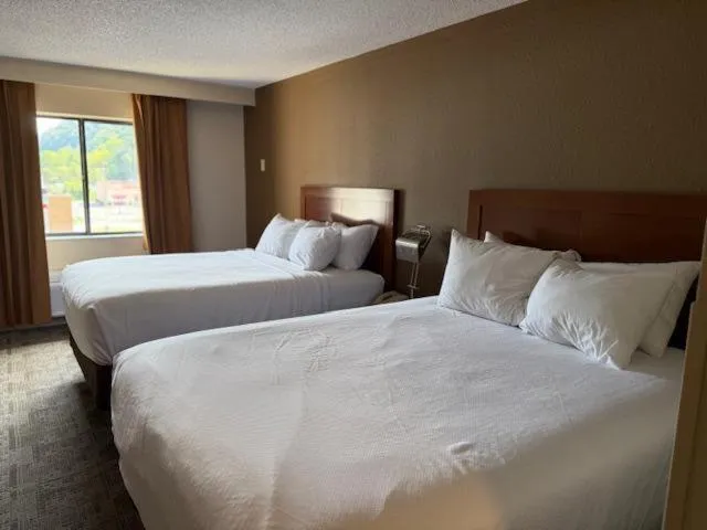 Bed in Comfort Inn Pikeville