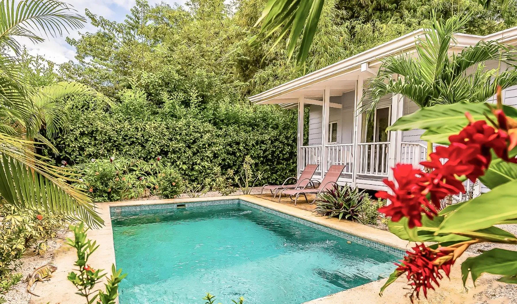 Pool view in Les Voiles Blanches - Luxury Lodge
