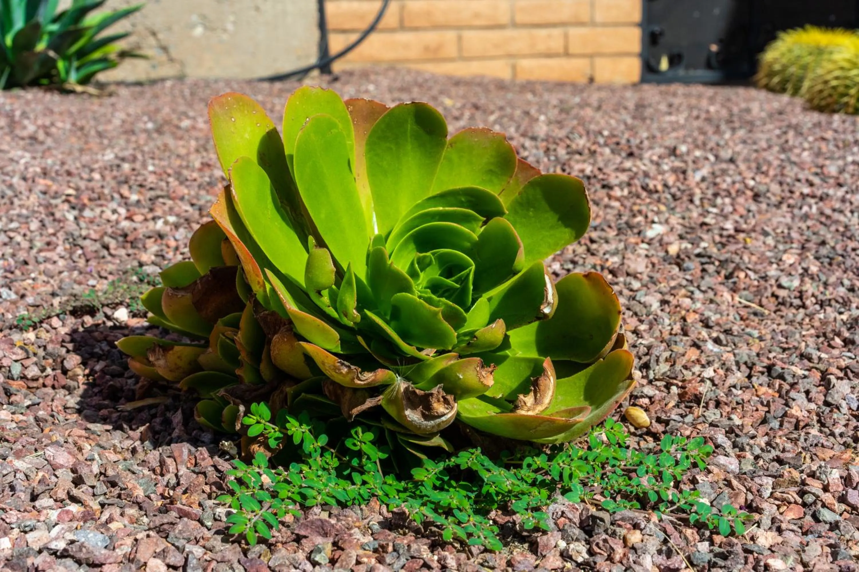 Natural landscape in Clarion Inn
