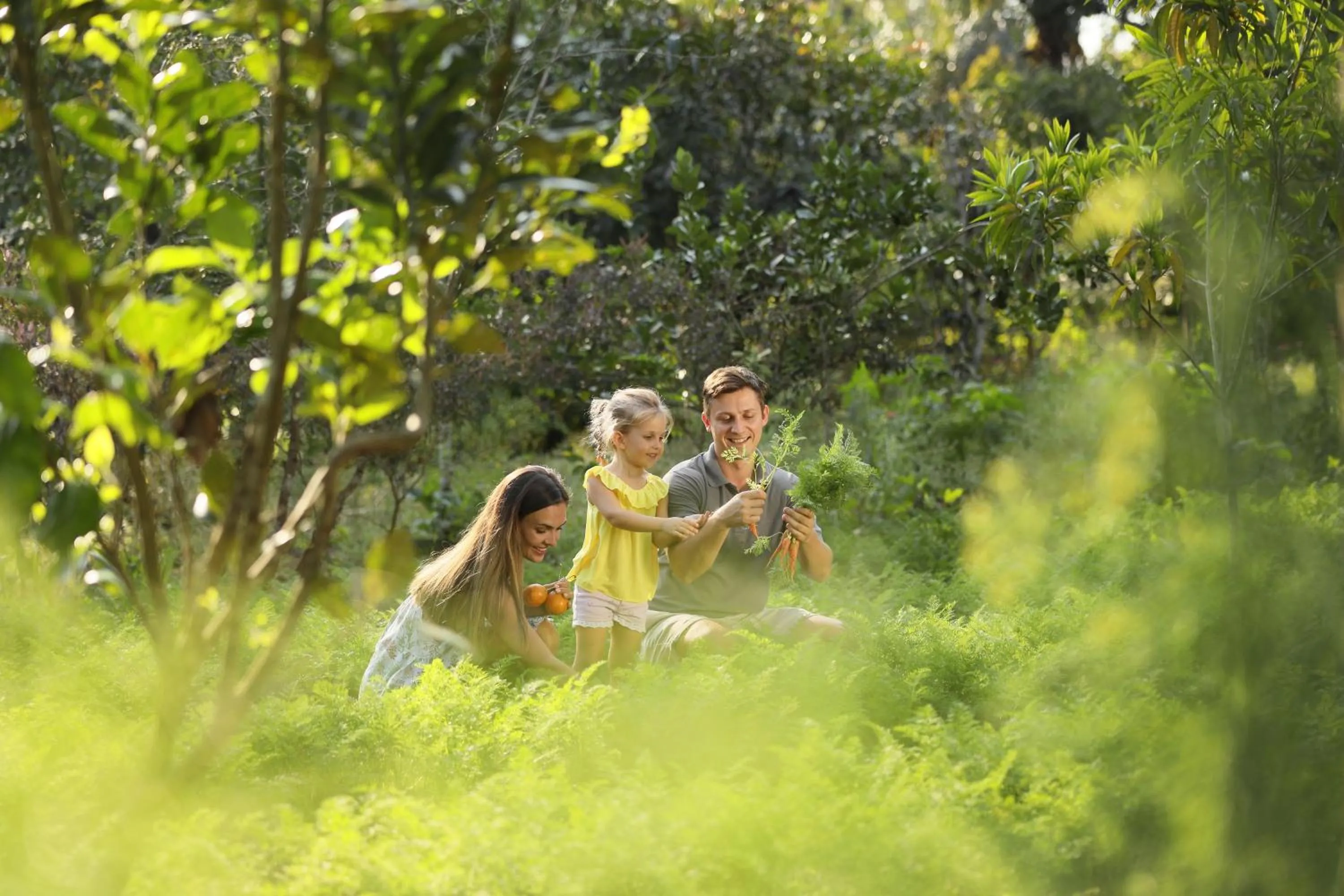 Natural landscape in Padma Resort Ubud