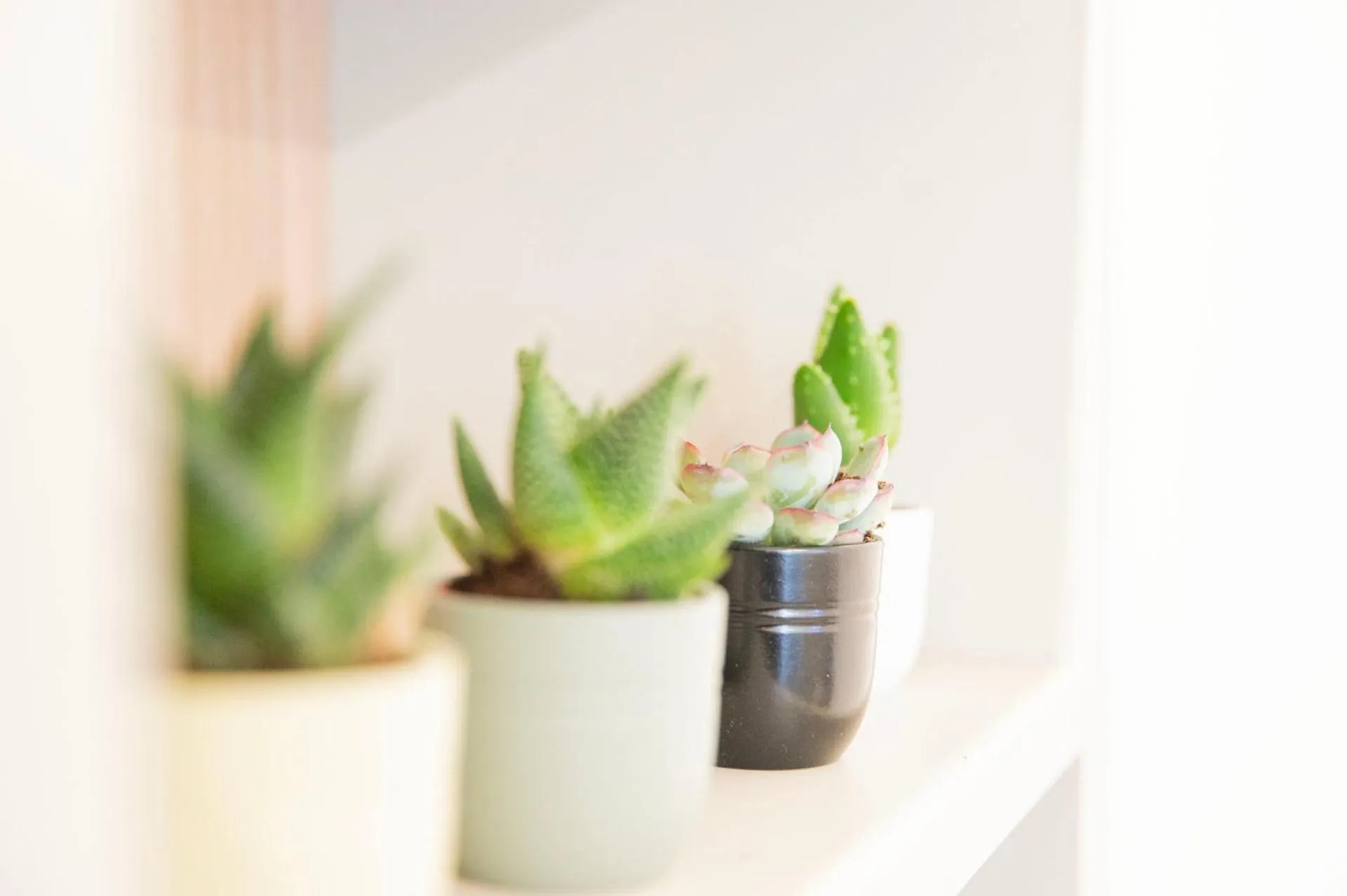 imperium suite trevi