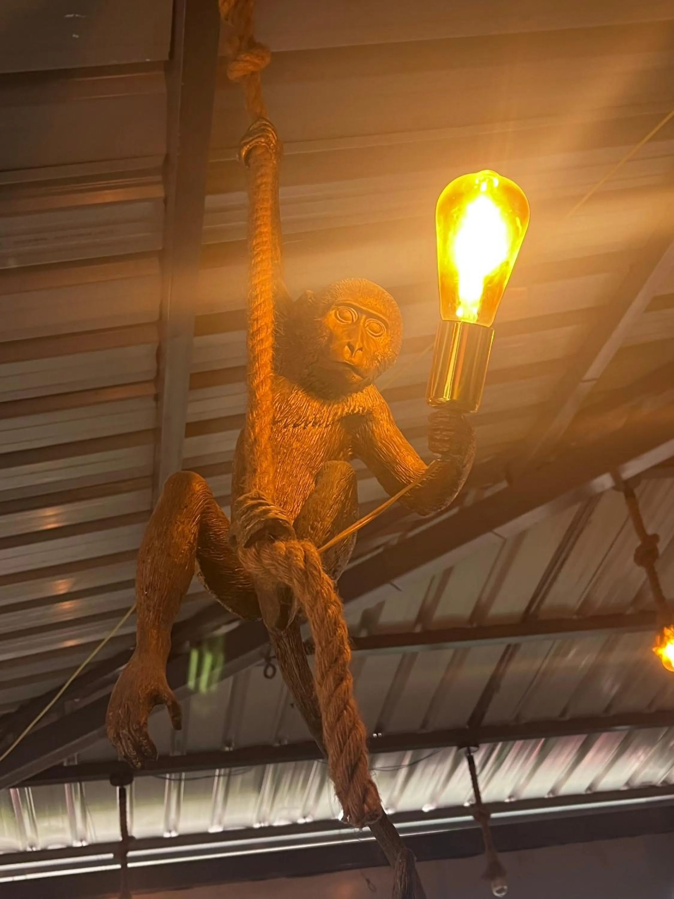 Decorative detail in Hotel Tapovan Hills