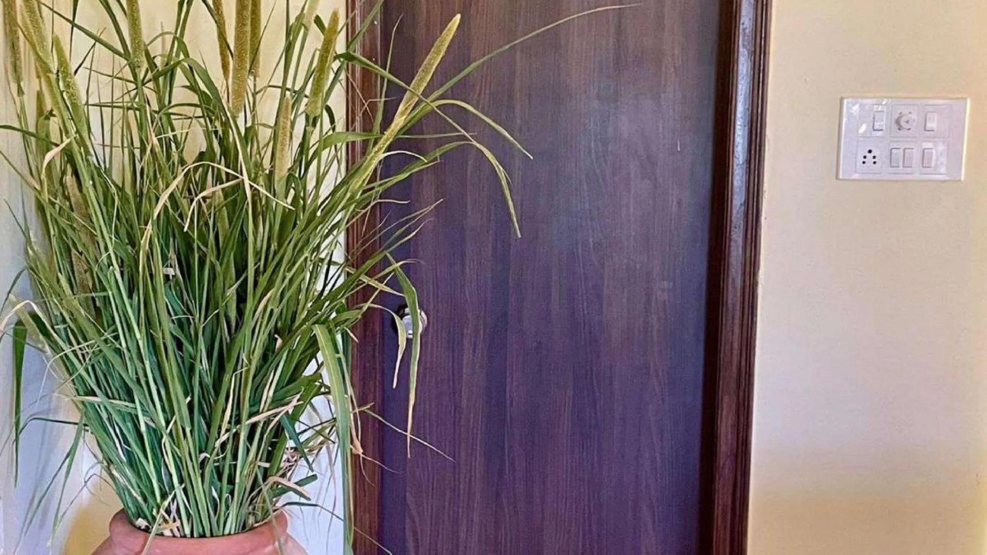 Facade/entrance in Hariyali Dhani Camps & Desert Resort With Swimming Pool, Jodhpur