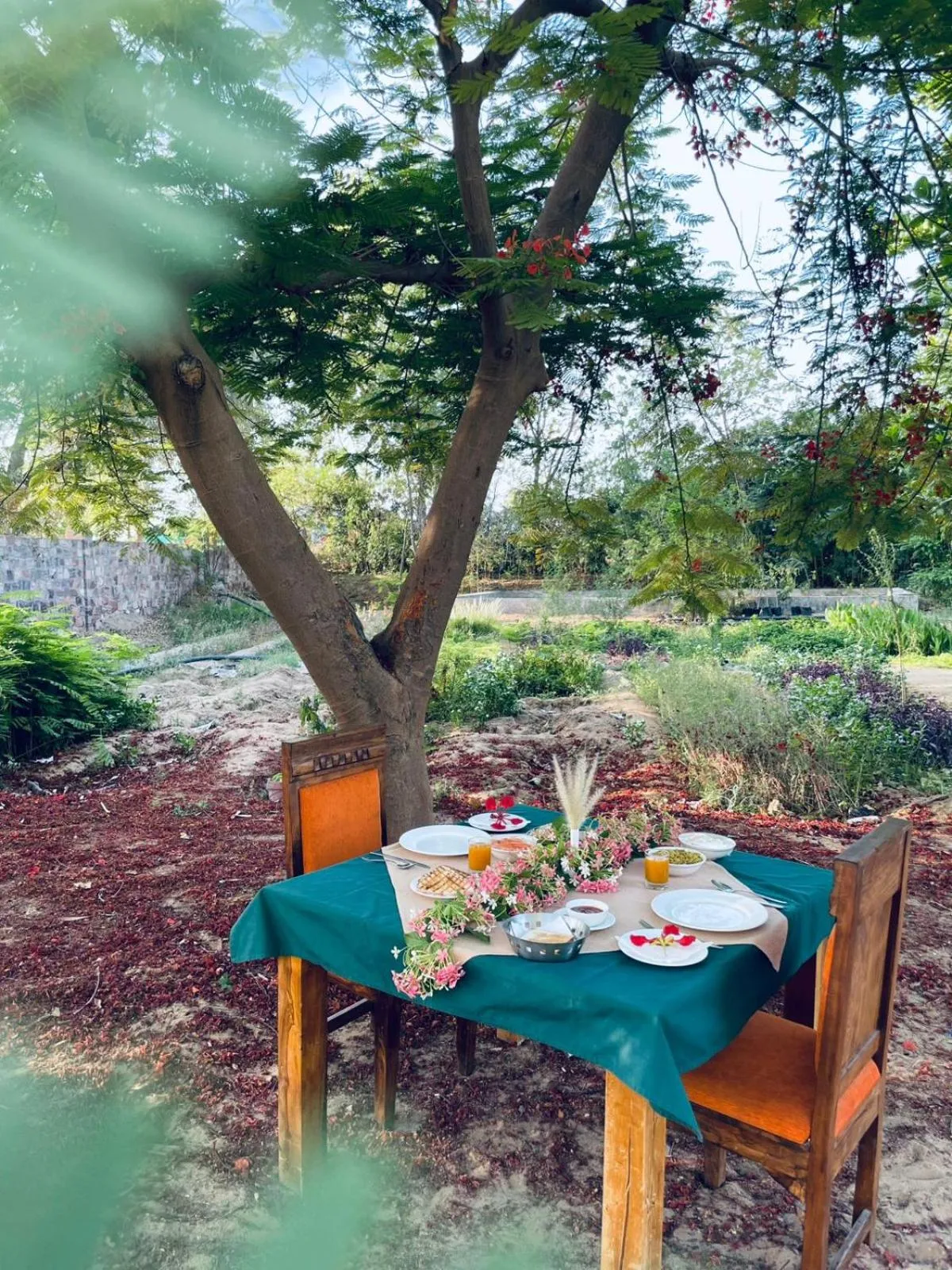 Restaurant/places to eat in Hariyali Dhani Camps & Desert Resort With Swimming Pool, Jodhpur