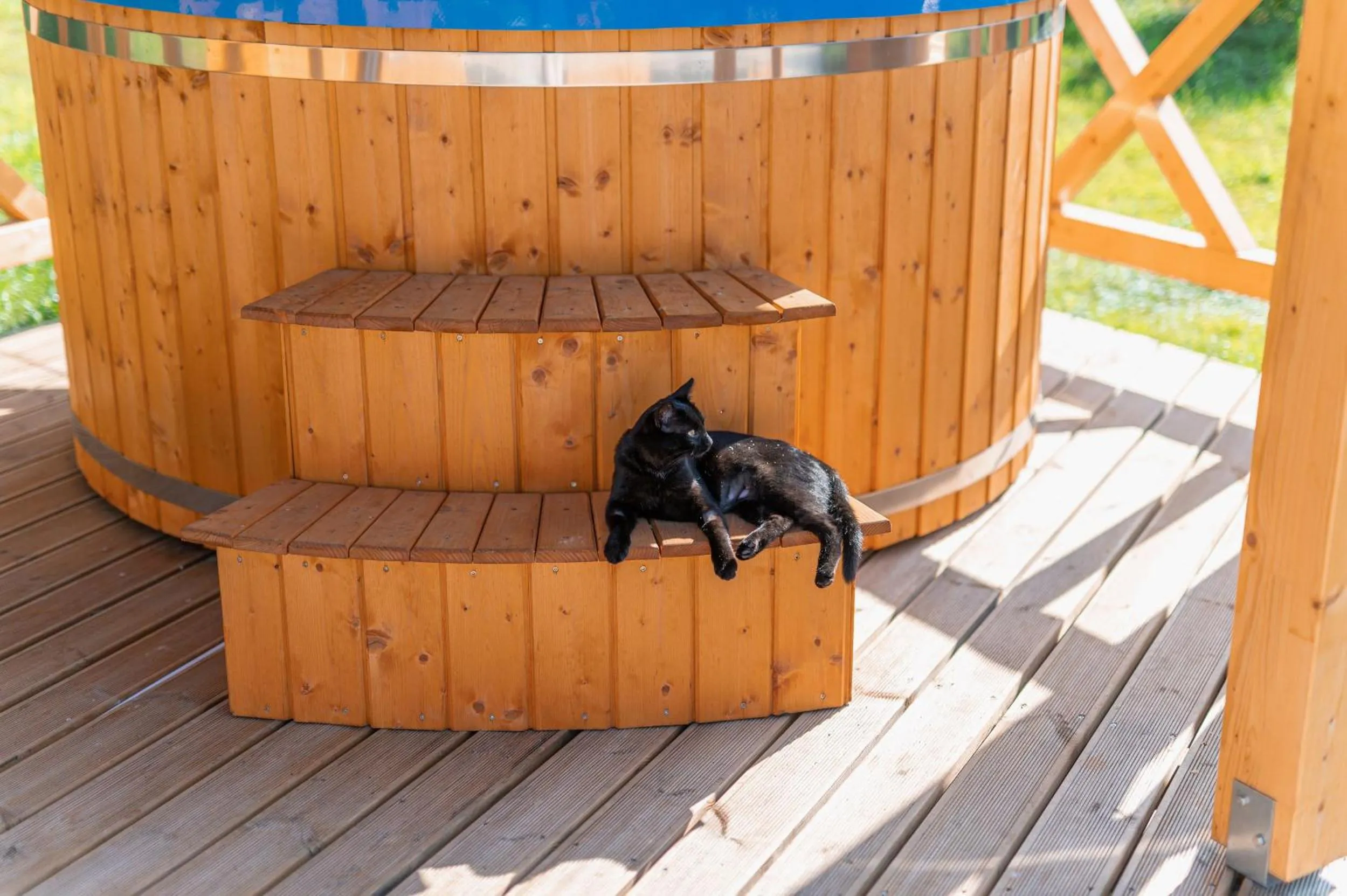 Pets in Pod Chmielarzem