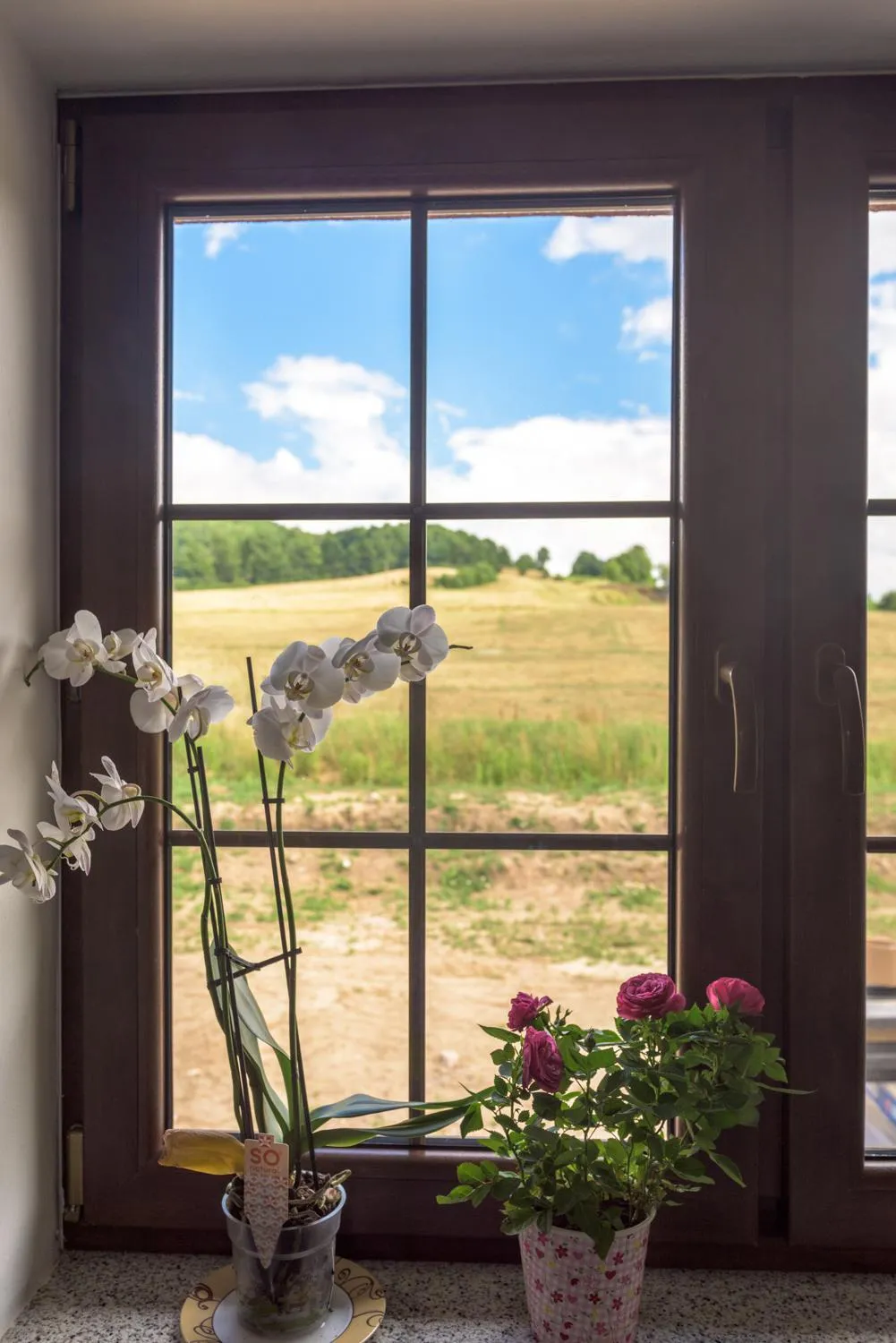 Day in Pod Chmielarzem