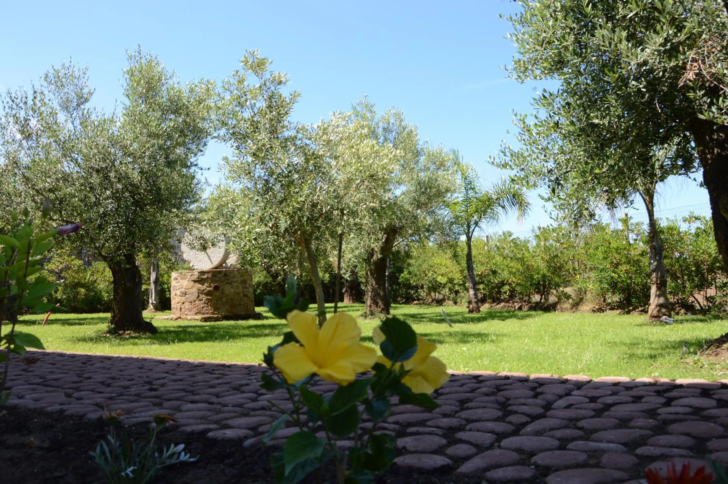 Property building in Villa D'Aquino