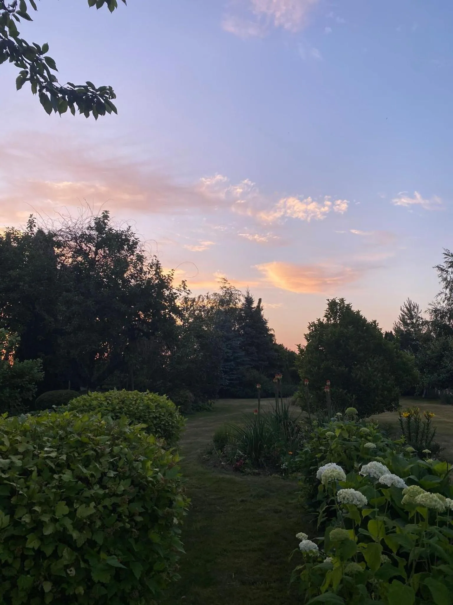 Natural landscape in Willa Polanka