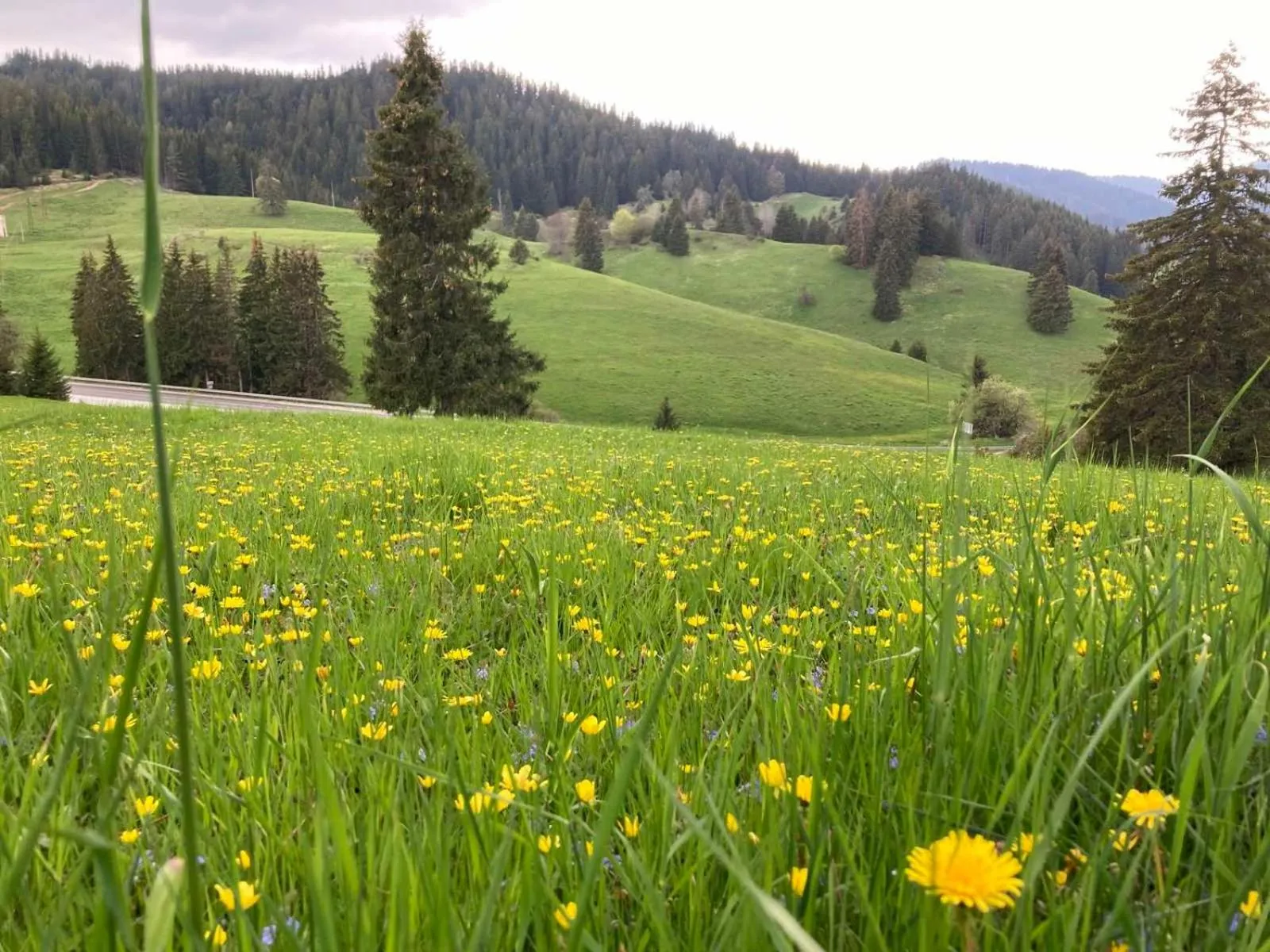 Spring in Hotel Coop Rozhen