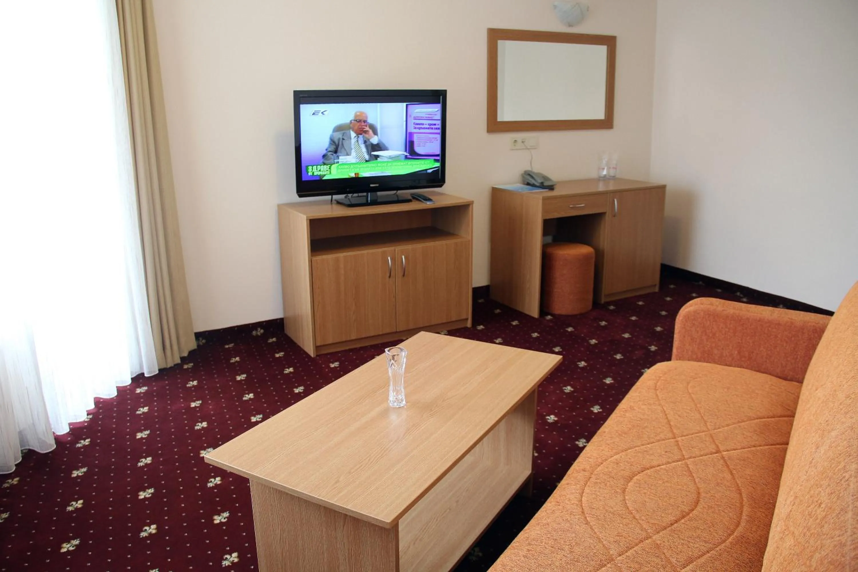 Living room in Hotel Coop Rozhen