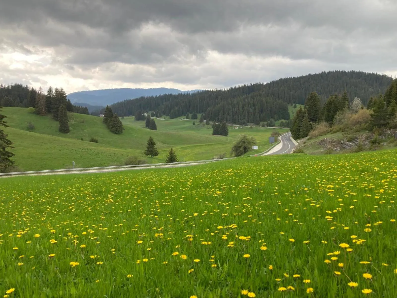 Spring in Hotel Coop Rozhen