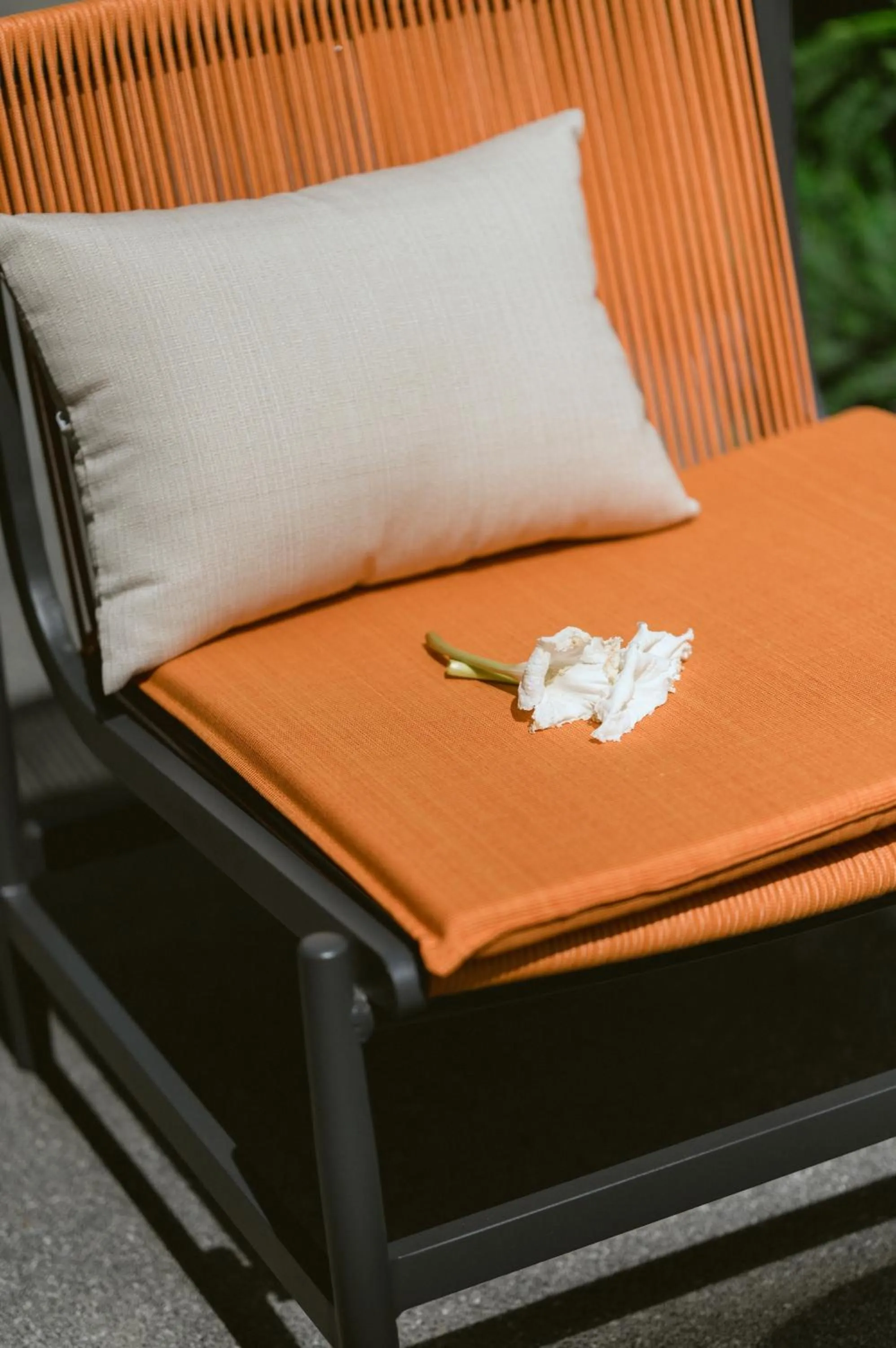 Natural landscape in PAAK Hotel Suvarnabhumi