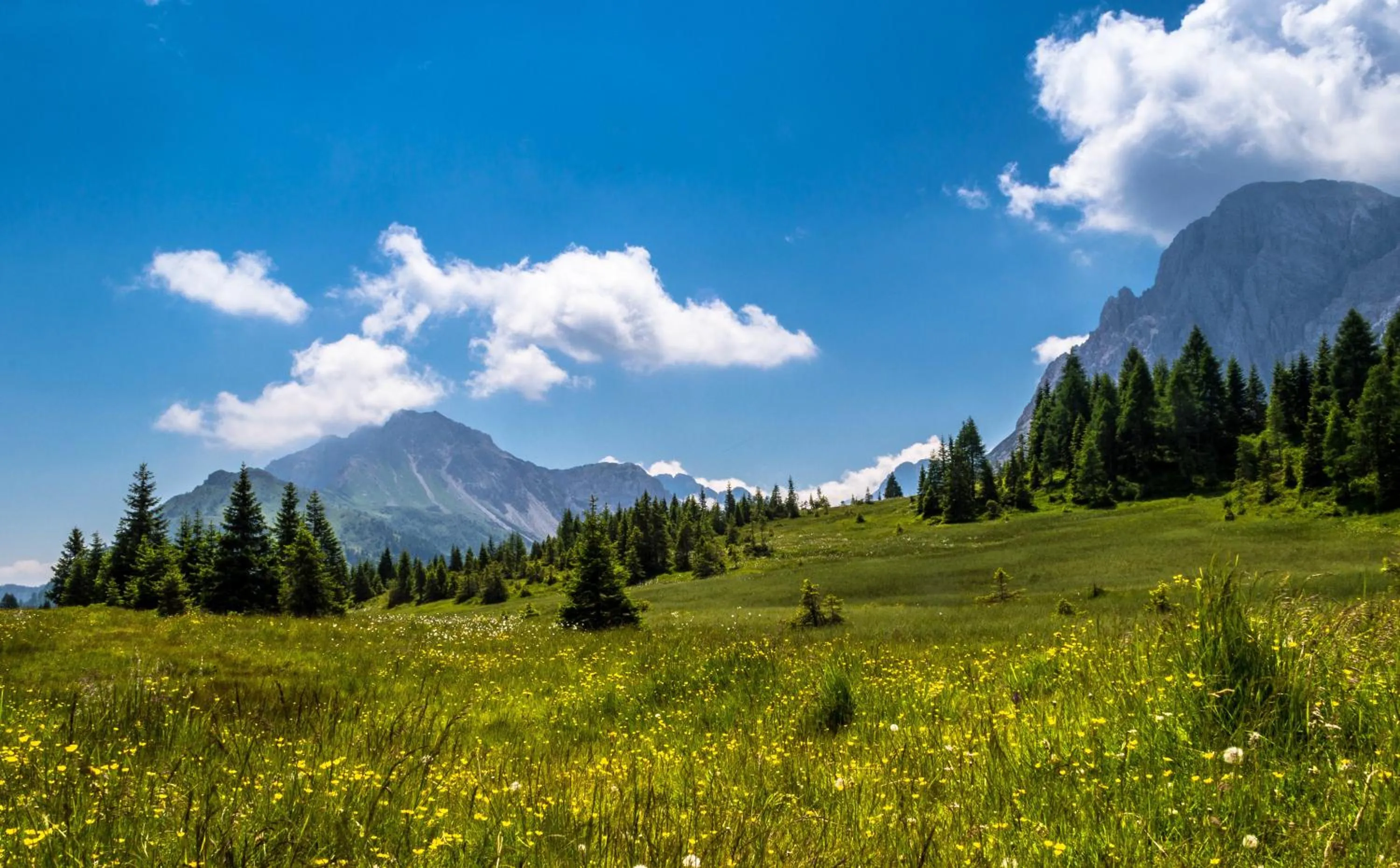 Other in Residence Cavanis Wellness & Spa