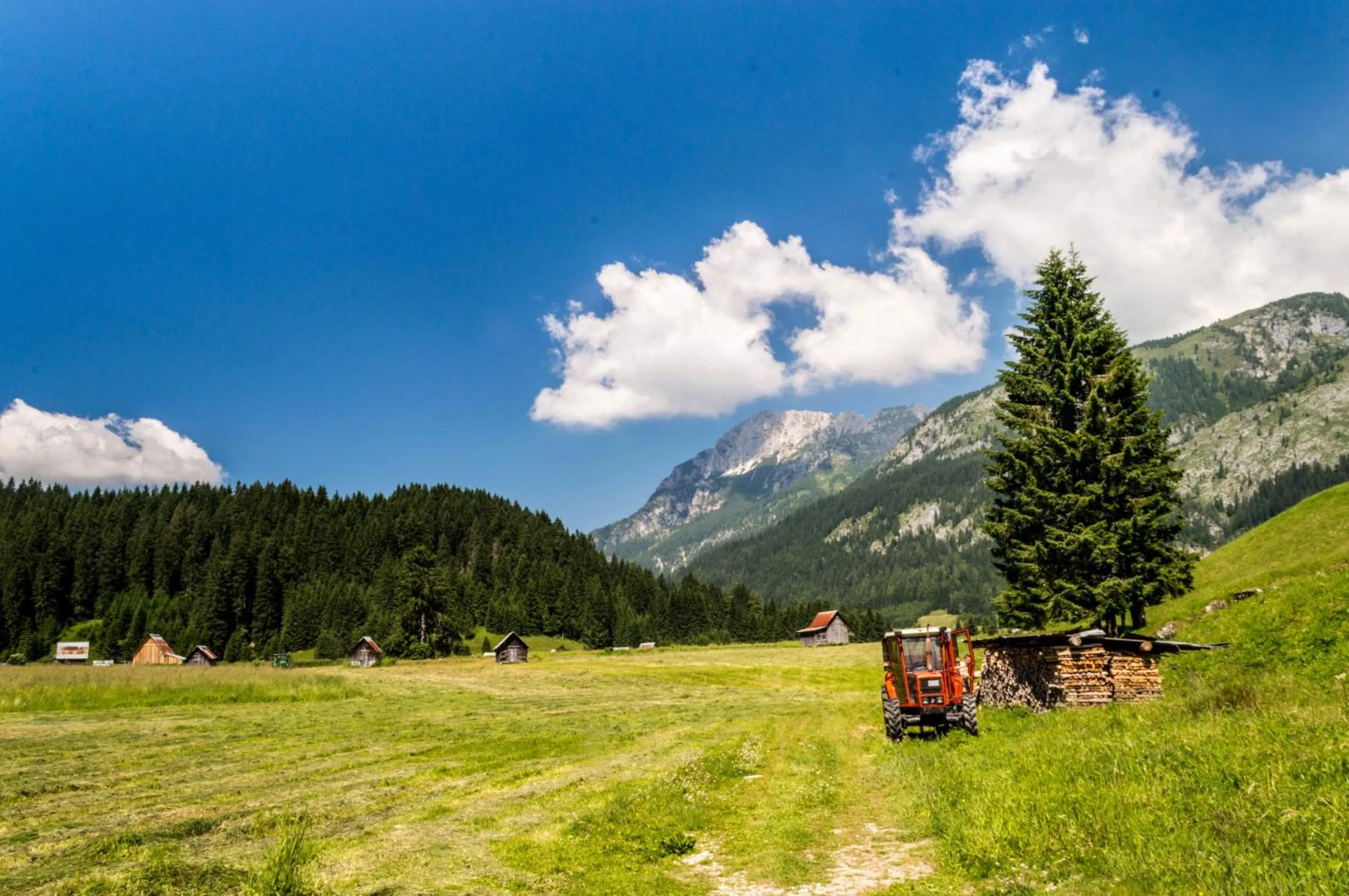 Other in Residence Cavanis Wellness & Spa