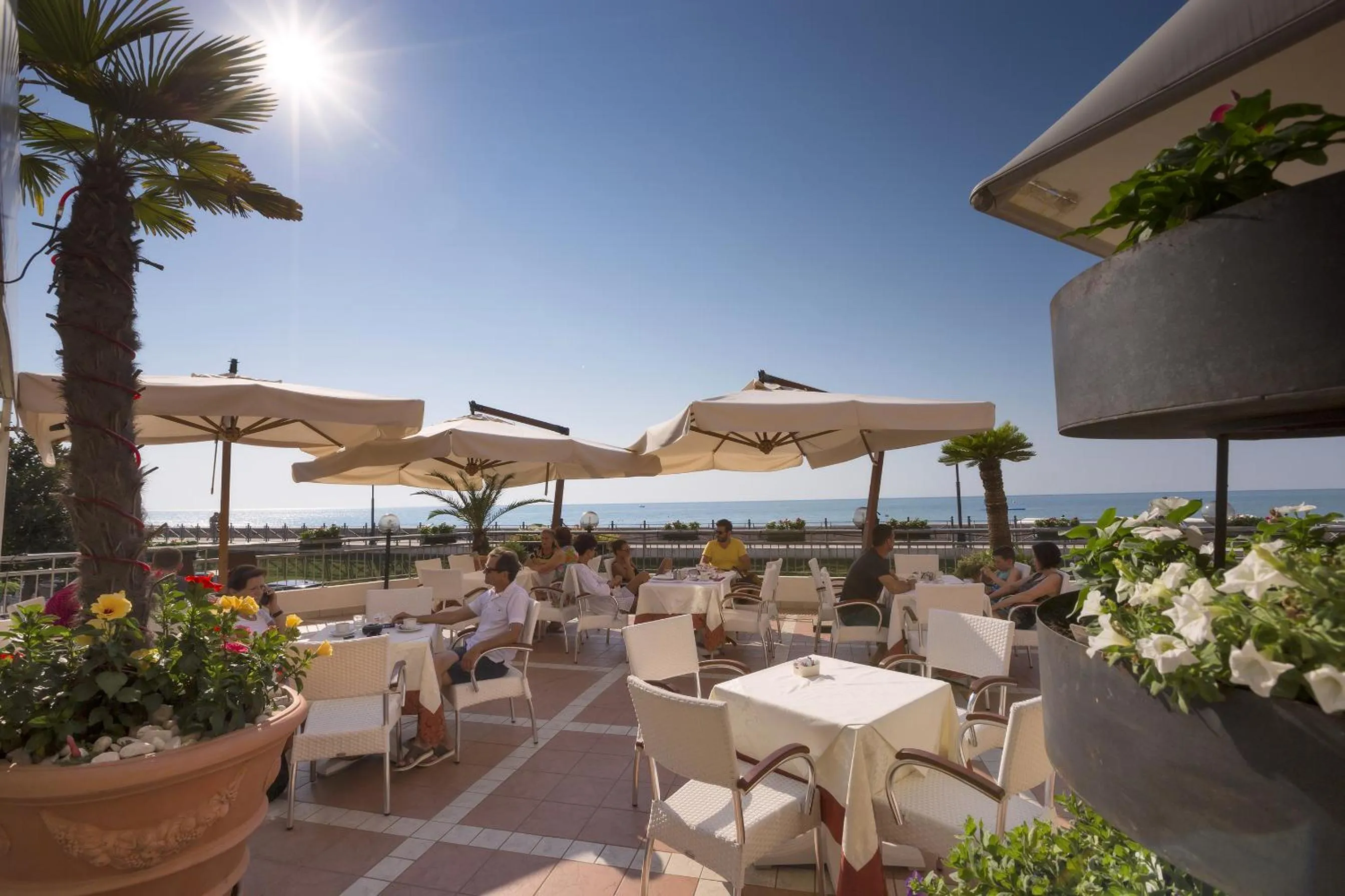 Balcony/Terrace in Hotel Adria sul Mare
