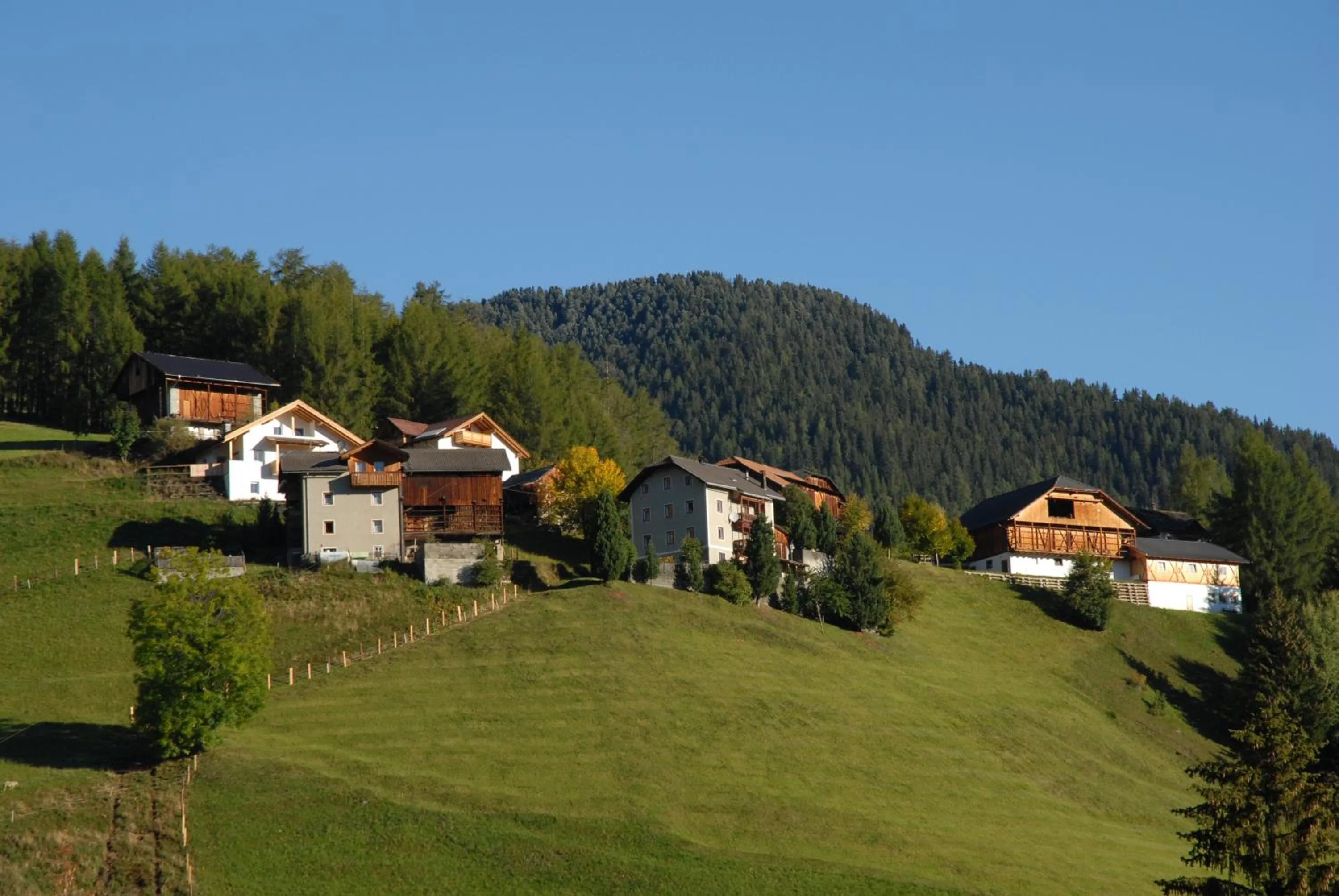 Natural landscape in Hotel Pütia