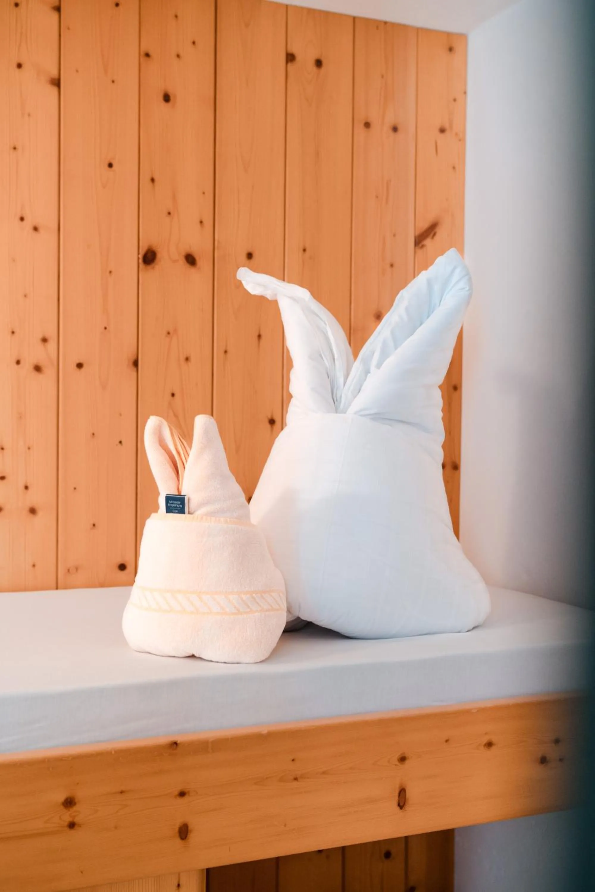 Photo of the whole room in Hotel Pütia