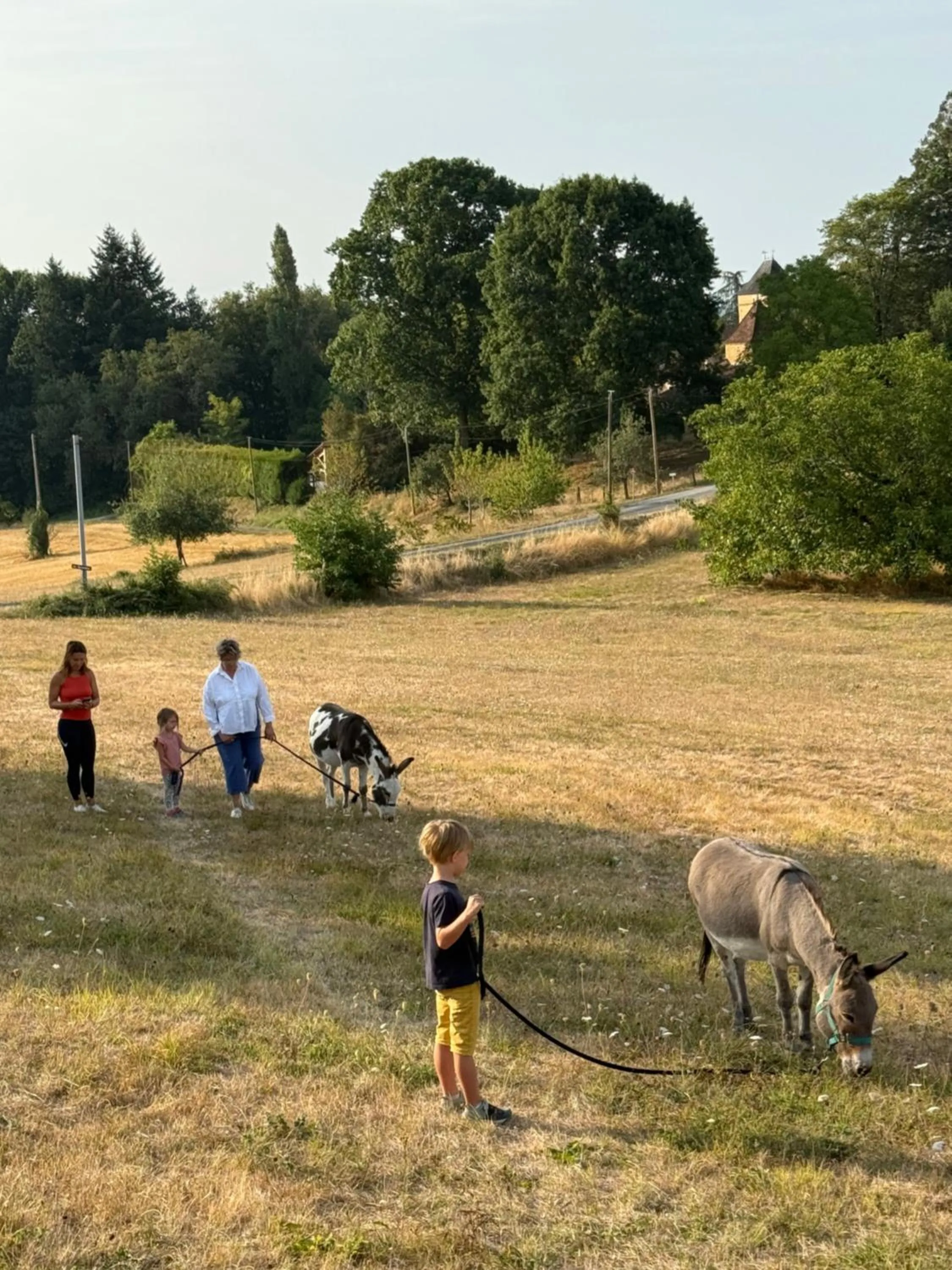 Activities in Lo Petit Cretsou