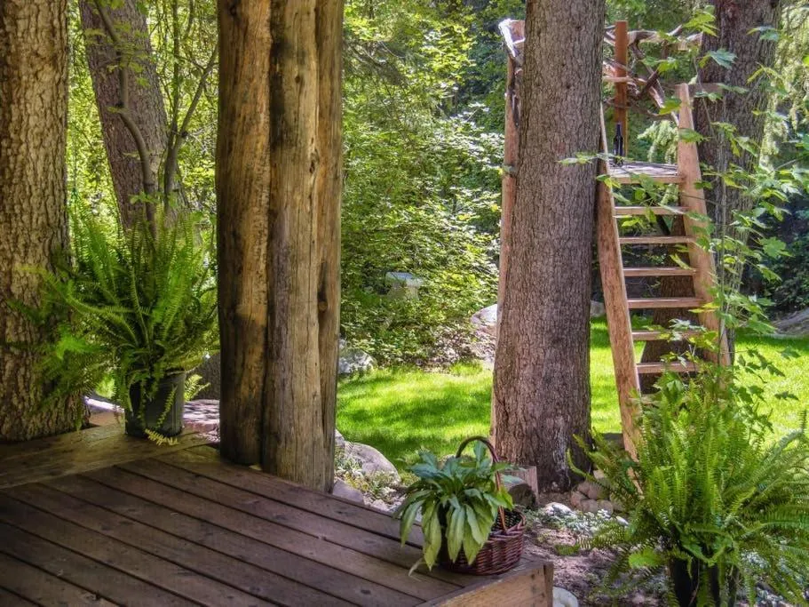 Day in Treehouse On The Stream Sundance, Utah