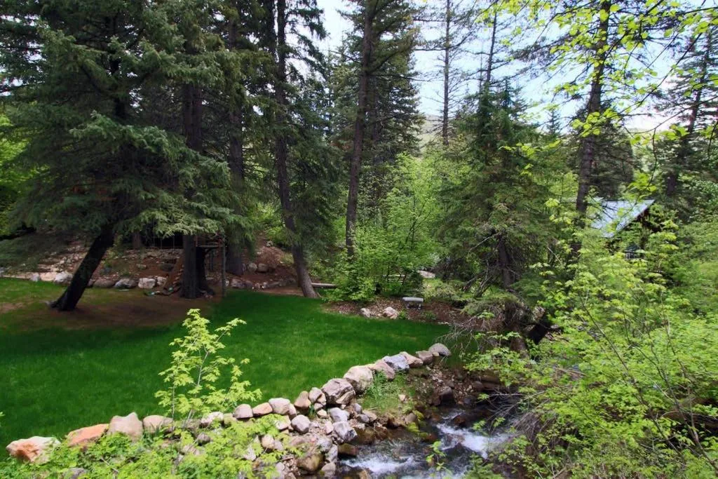 Spring in Treehouse On The Stream Sundance, Utah