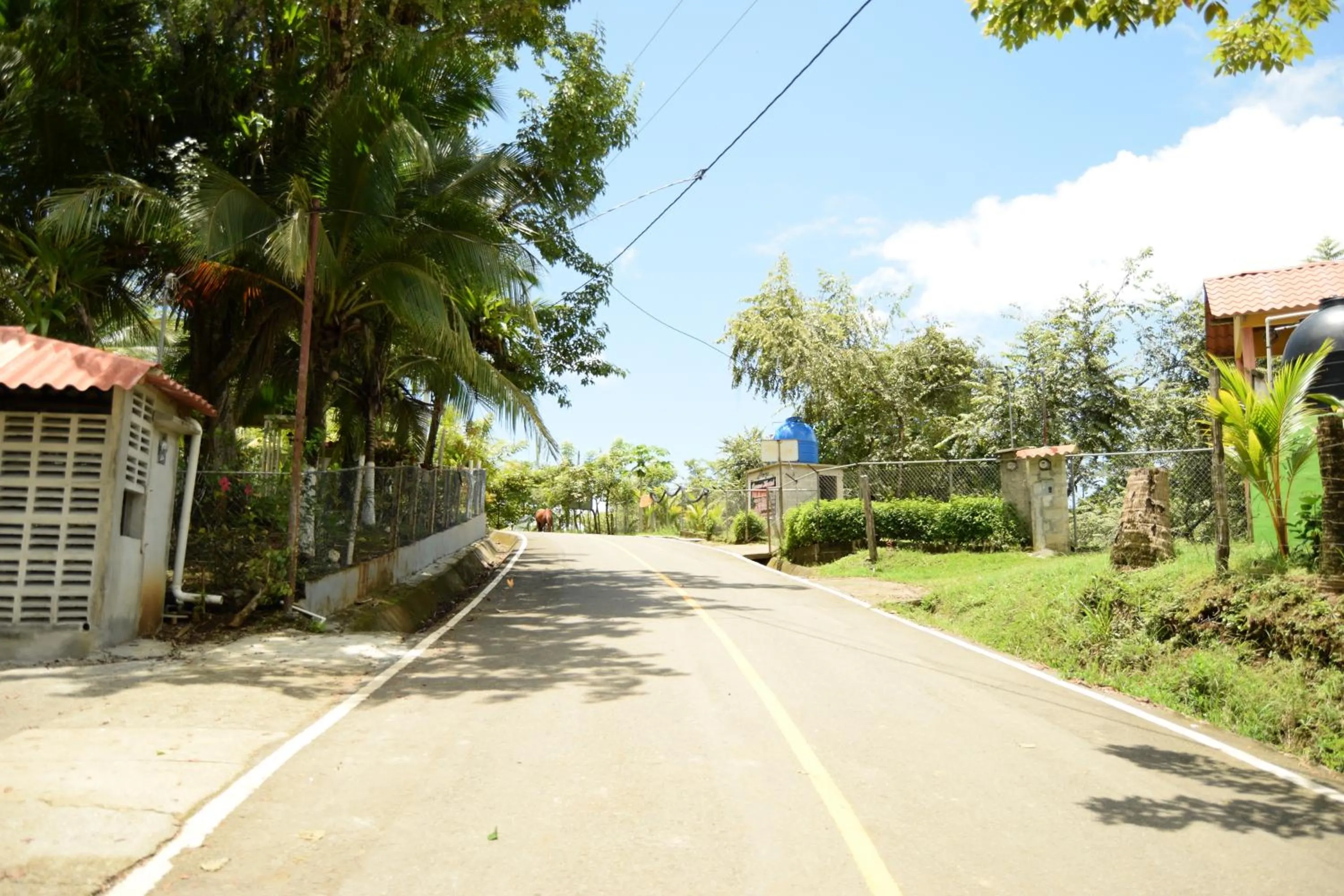 Street view in Hotel y Restaurante Mama Ines