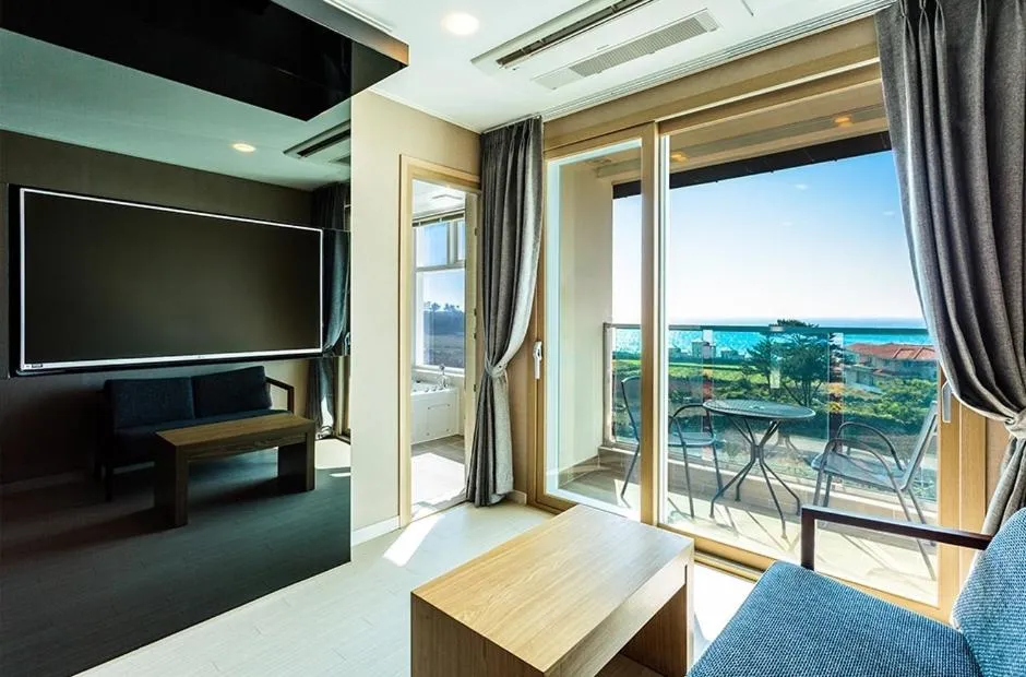 TV and multimedia in Rich Hotel