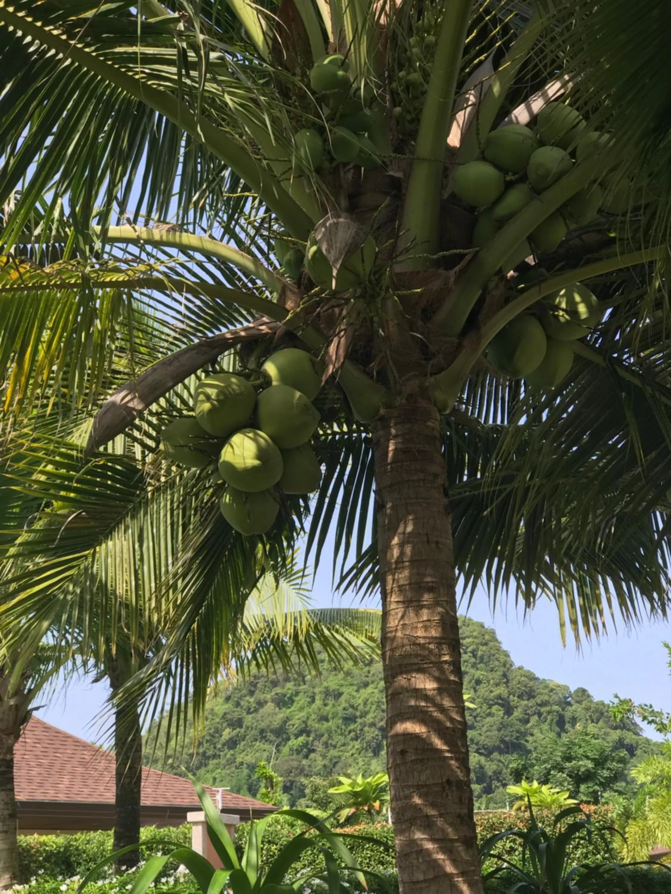 Other in Aonang Oscar Pool Villas - Free Shuttle to Aonang Beach -shared pool - private pool