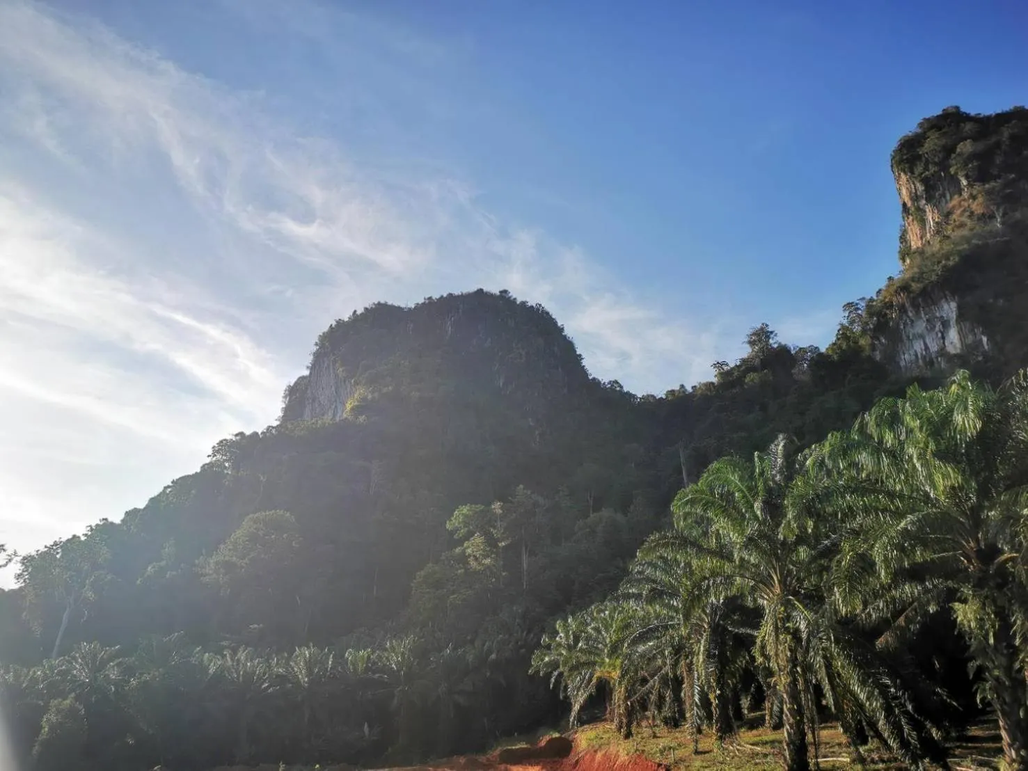 Natural landscape in Aonang Oscar Pool Villas - Free Shuttle to Aonang Beach -shared pool - private pool