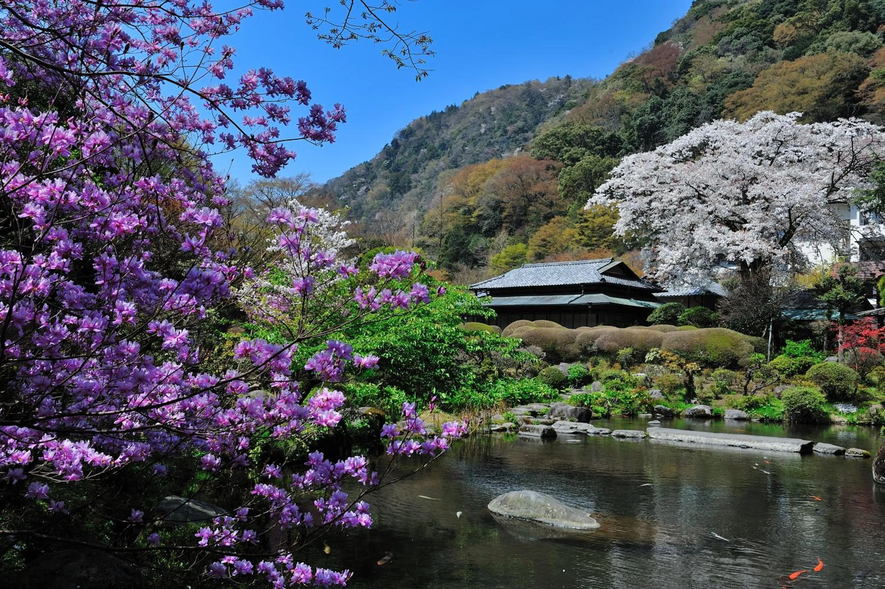 Garden in Yoshiike Ryokan