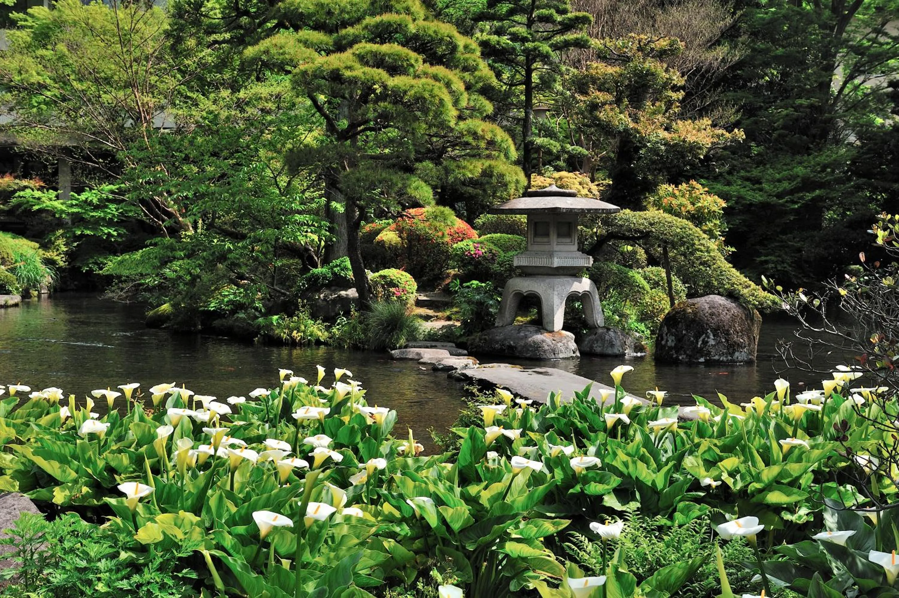 Garden in Yoshiike Ryokan