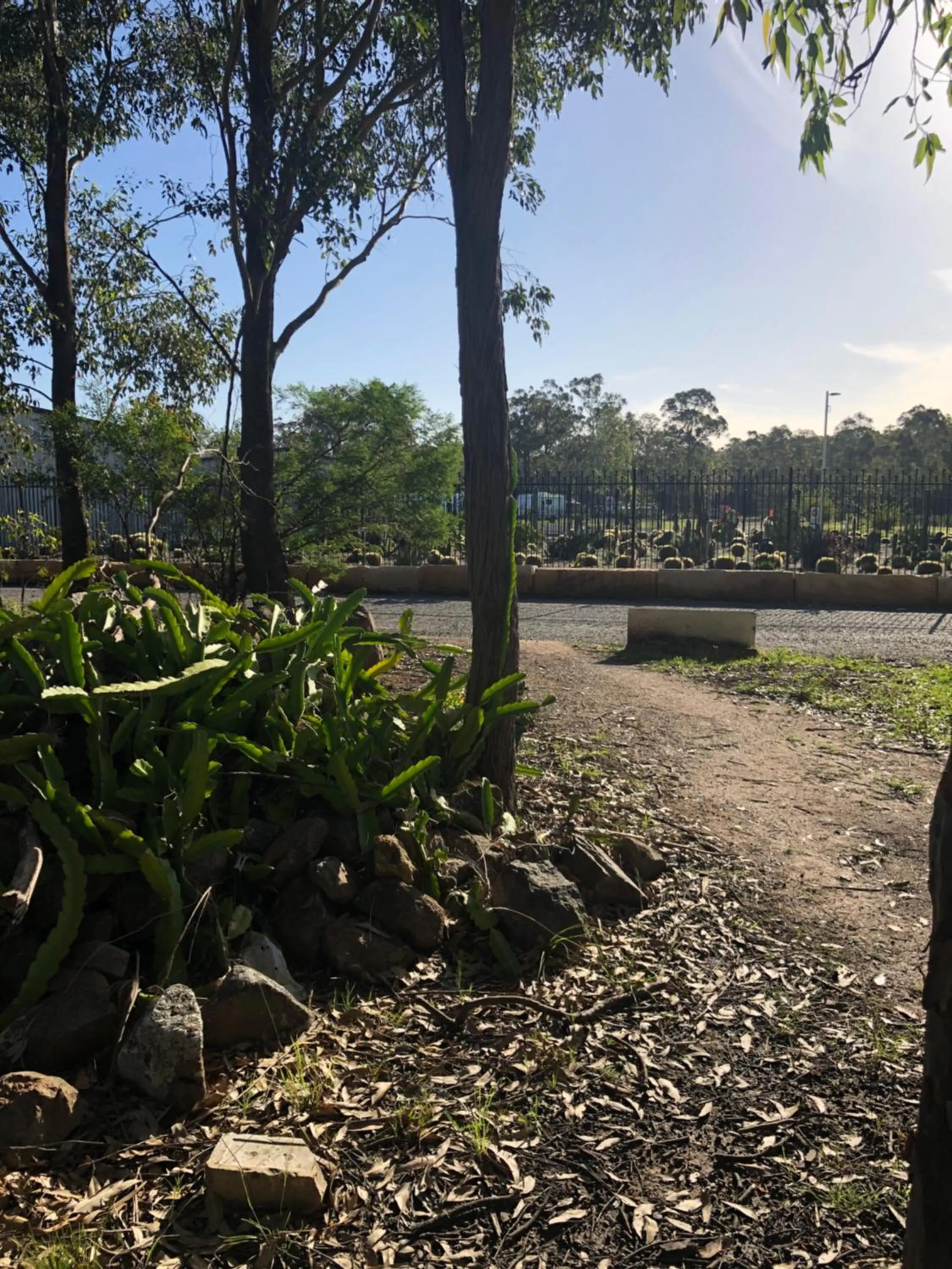 Natural landscape in Australian Motor Home Tourist Park Twelve Mile Creek