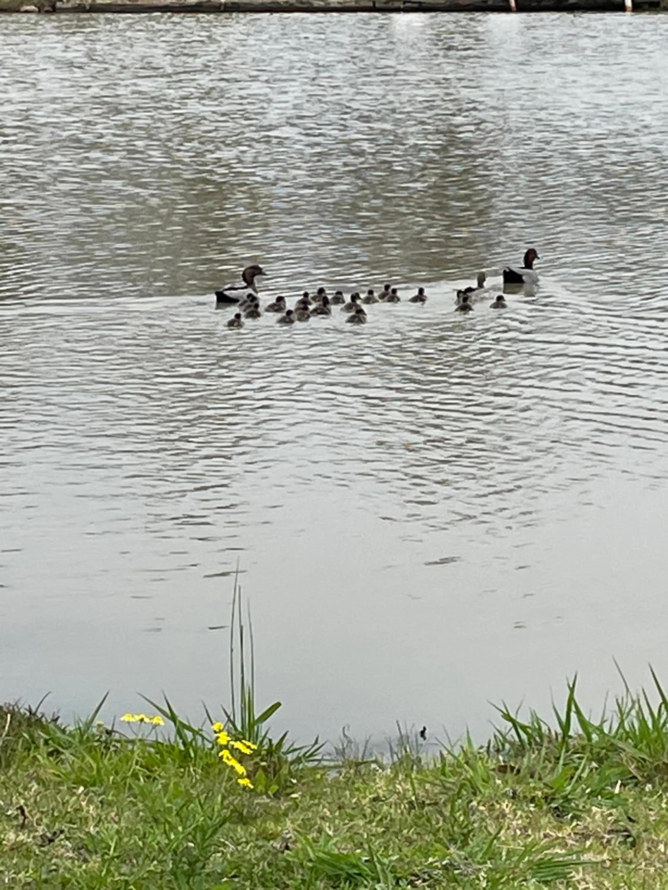 Lake view in Australian Motor Home Tourist Park Twelve Mile Creek