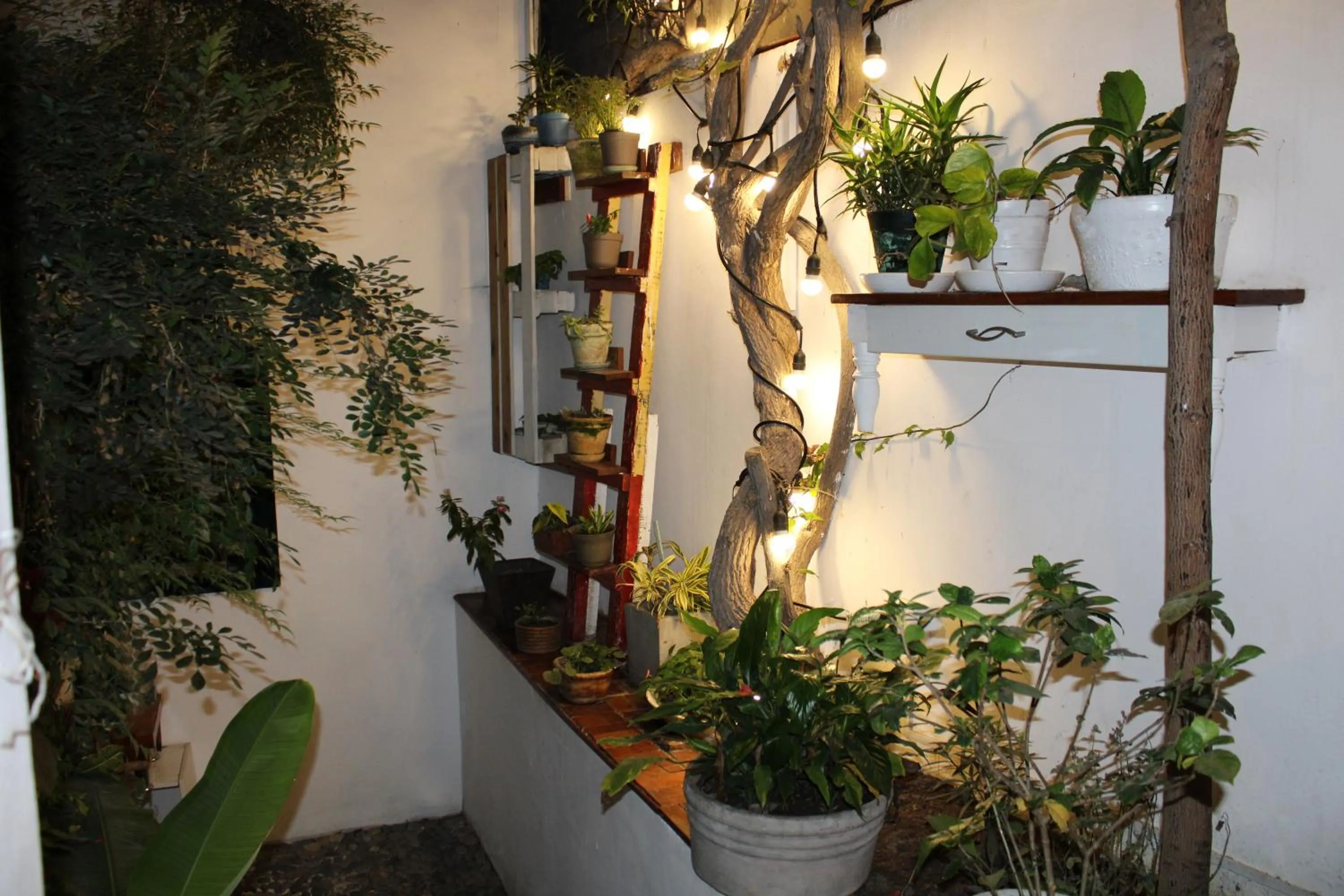 Patio in La Casa del Viajero