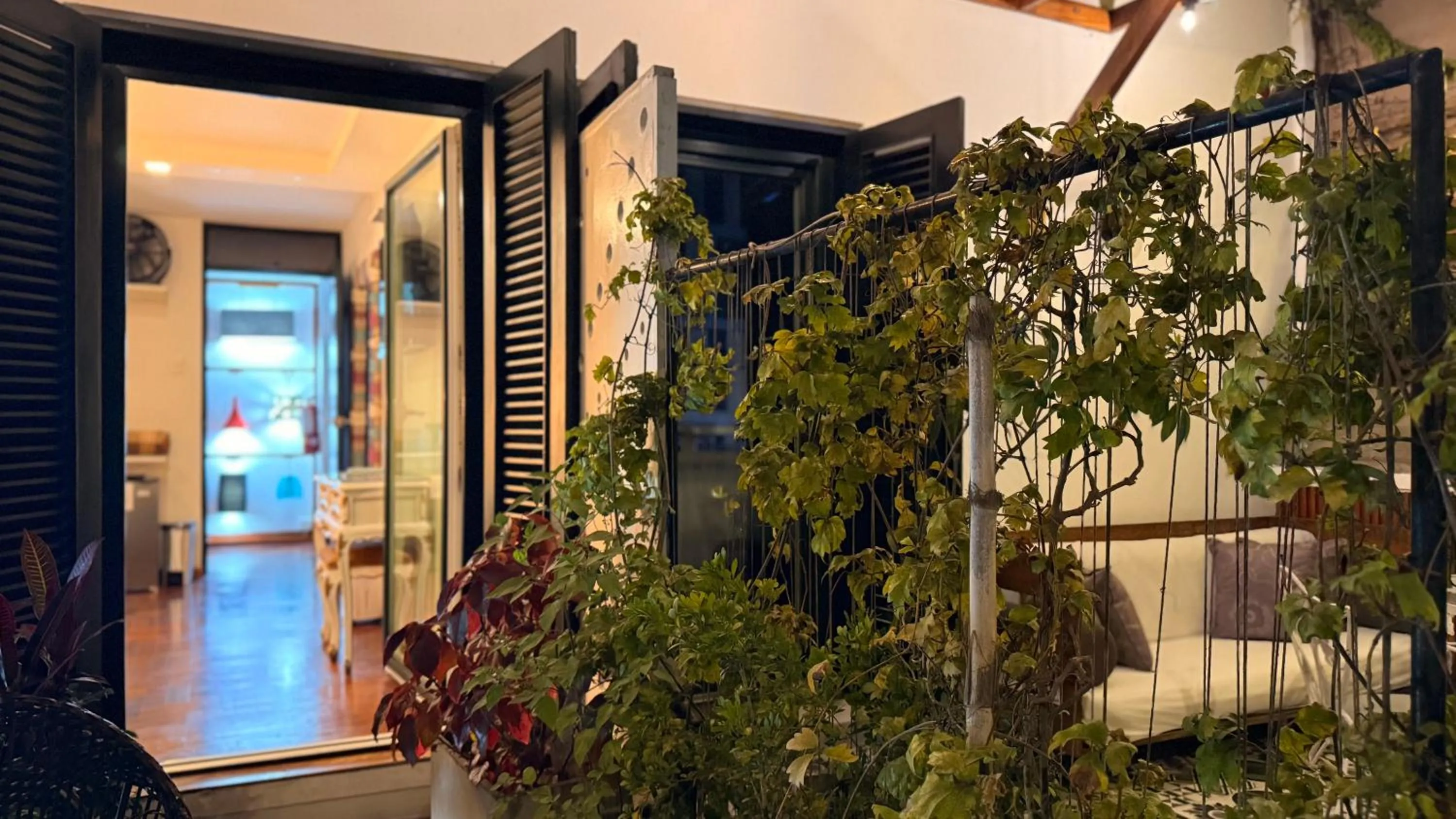 Garden in La Casa del Viajero