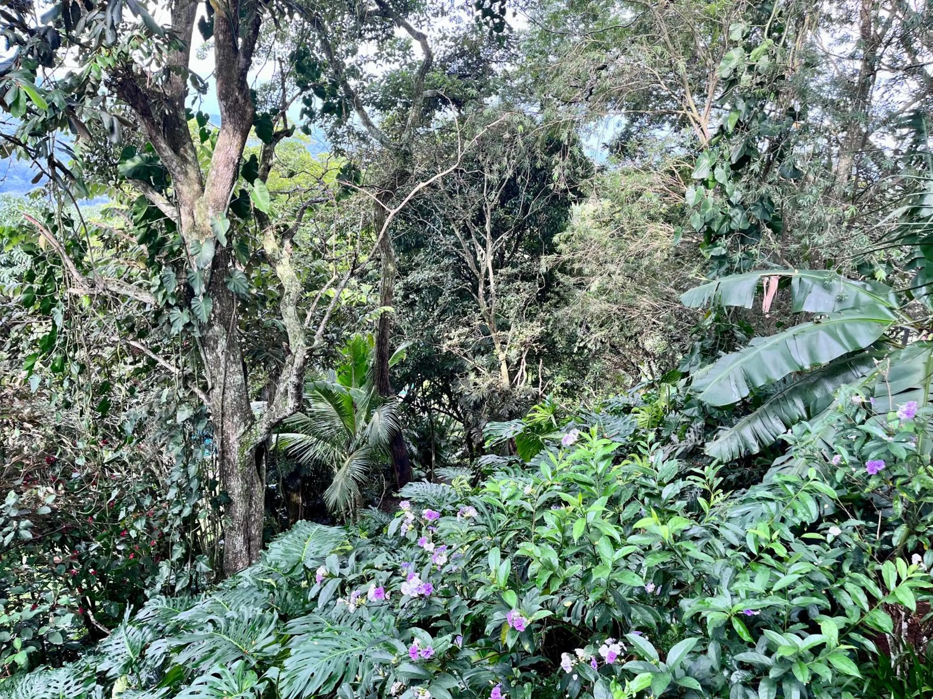 Hotel Villas de la Colina