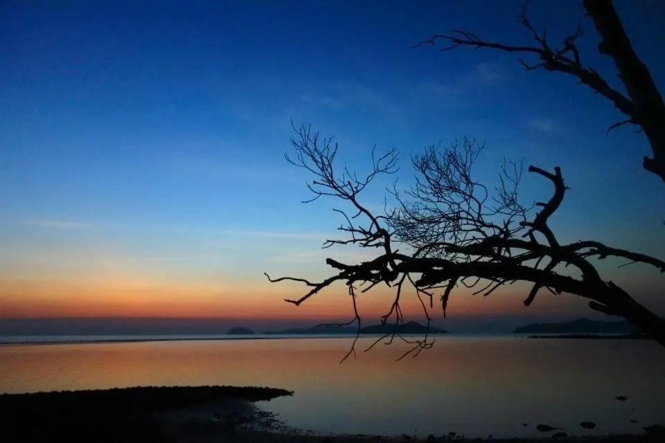 Natural landscape in Pano Resort