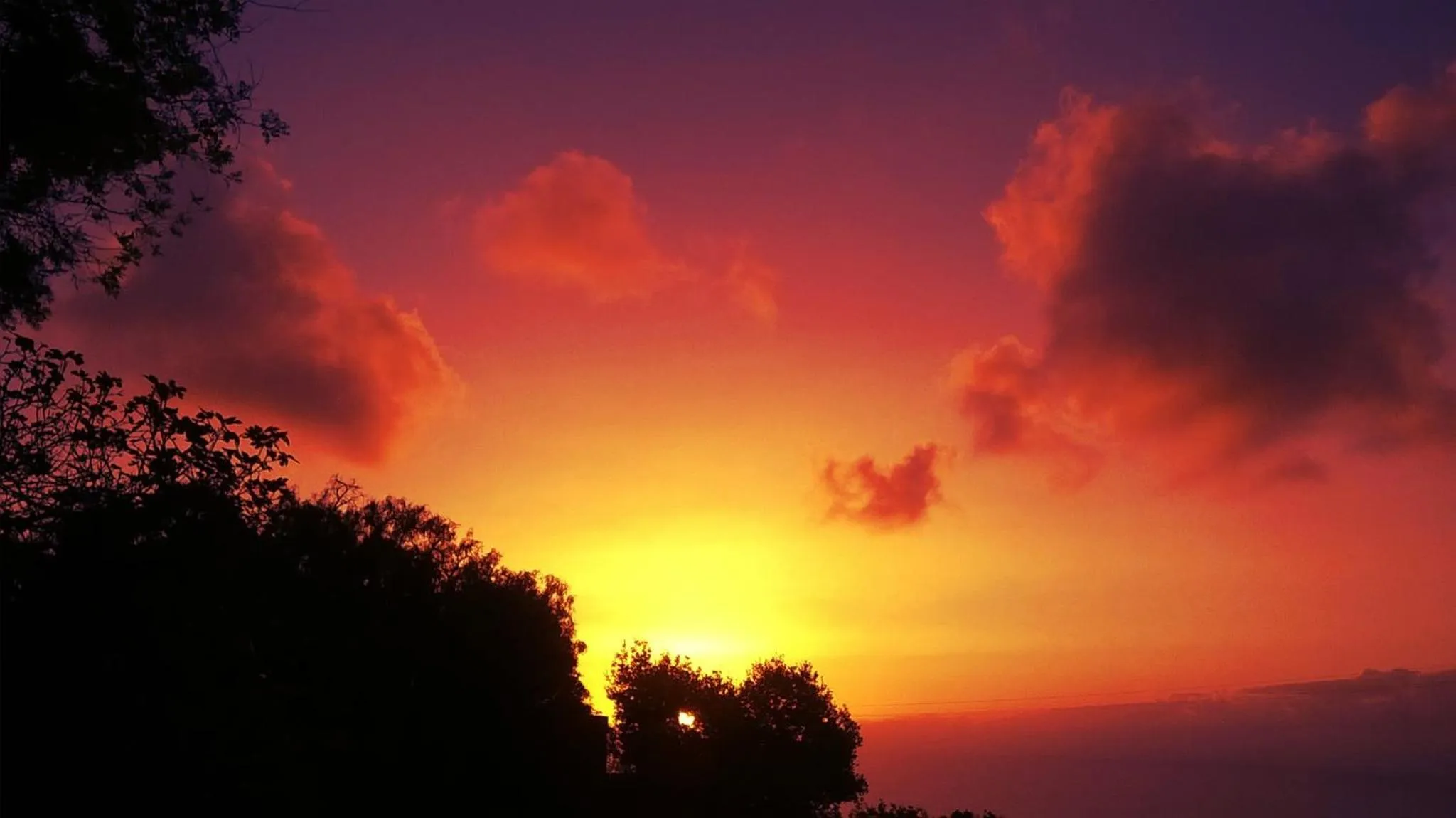 Natural landscape in Hotel Emblemático Casa Casilda