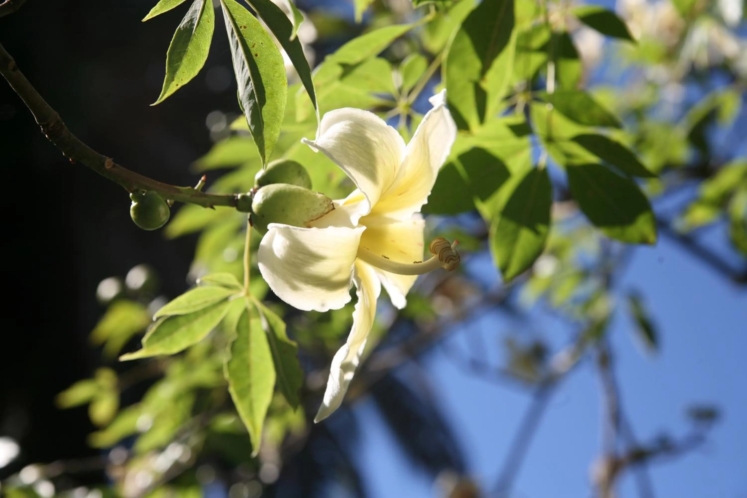 Day in Hotel Emblemático Casa Casilda