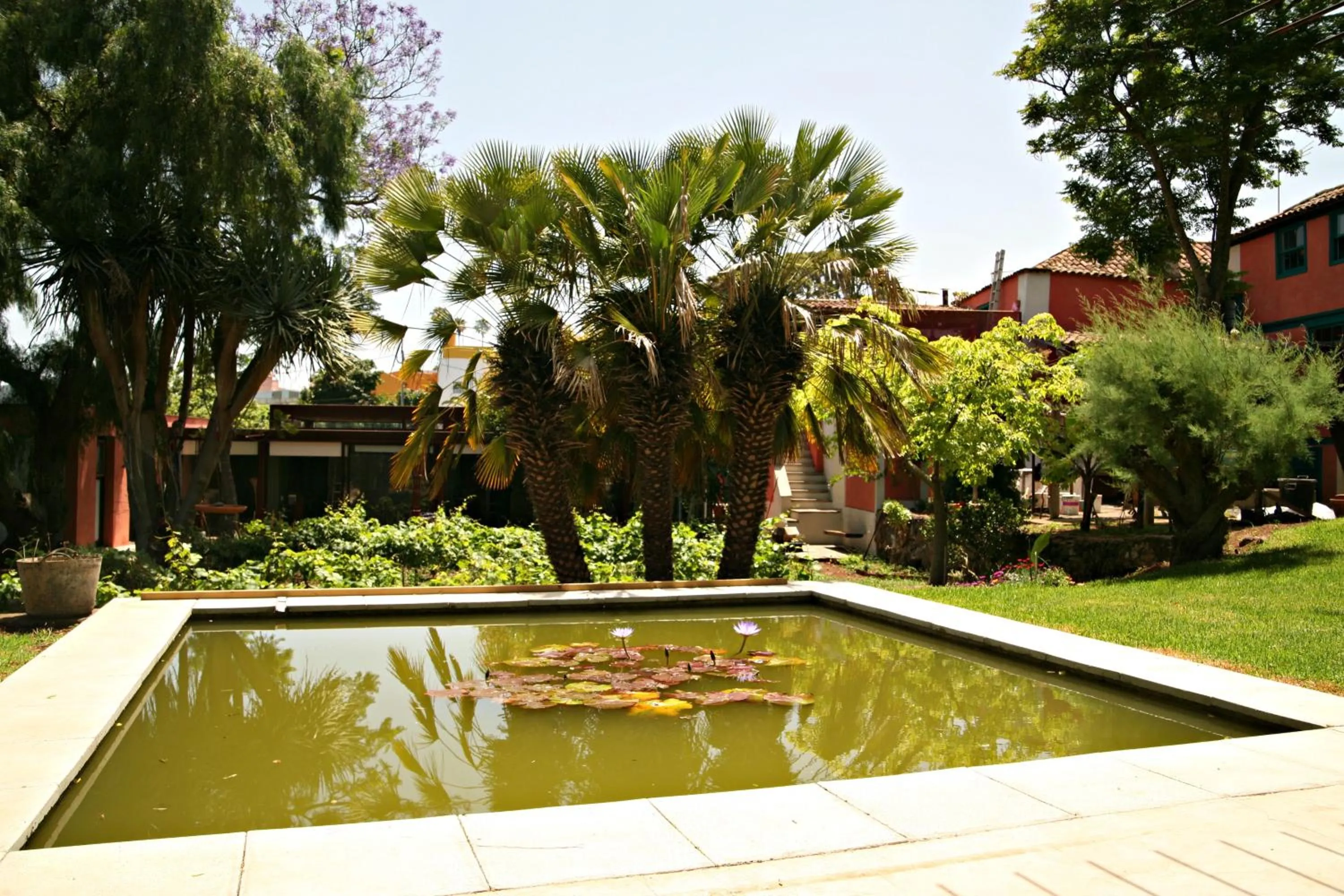 BBQ facilities in Hotel Emblemático Casa Casilda