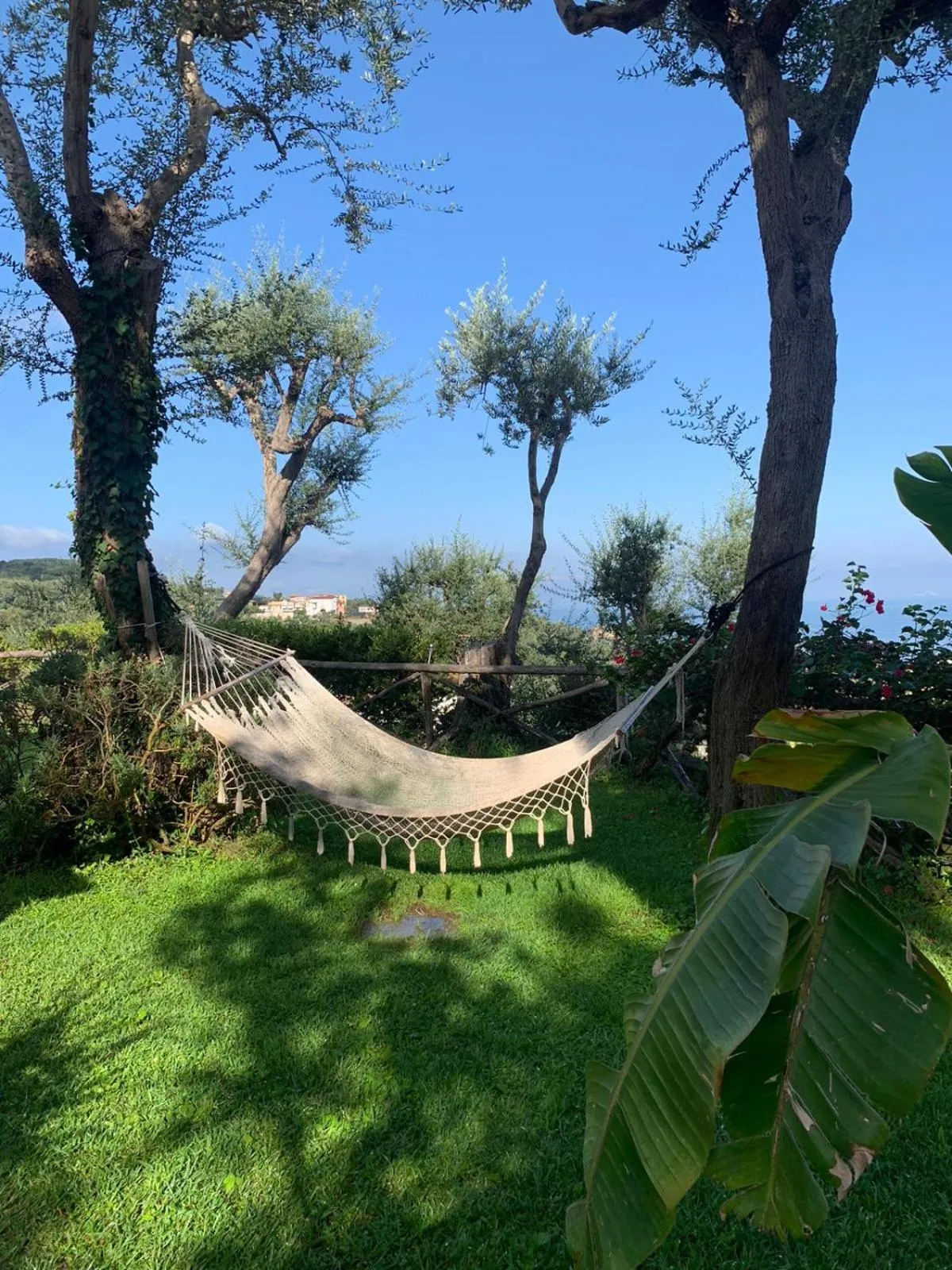 Garden in Villa Giovanna