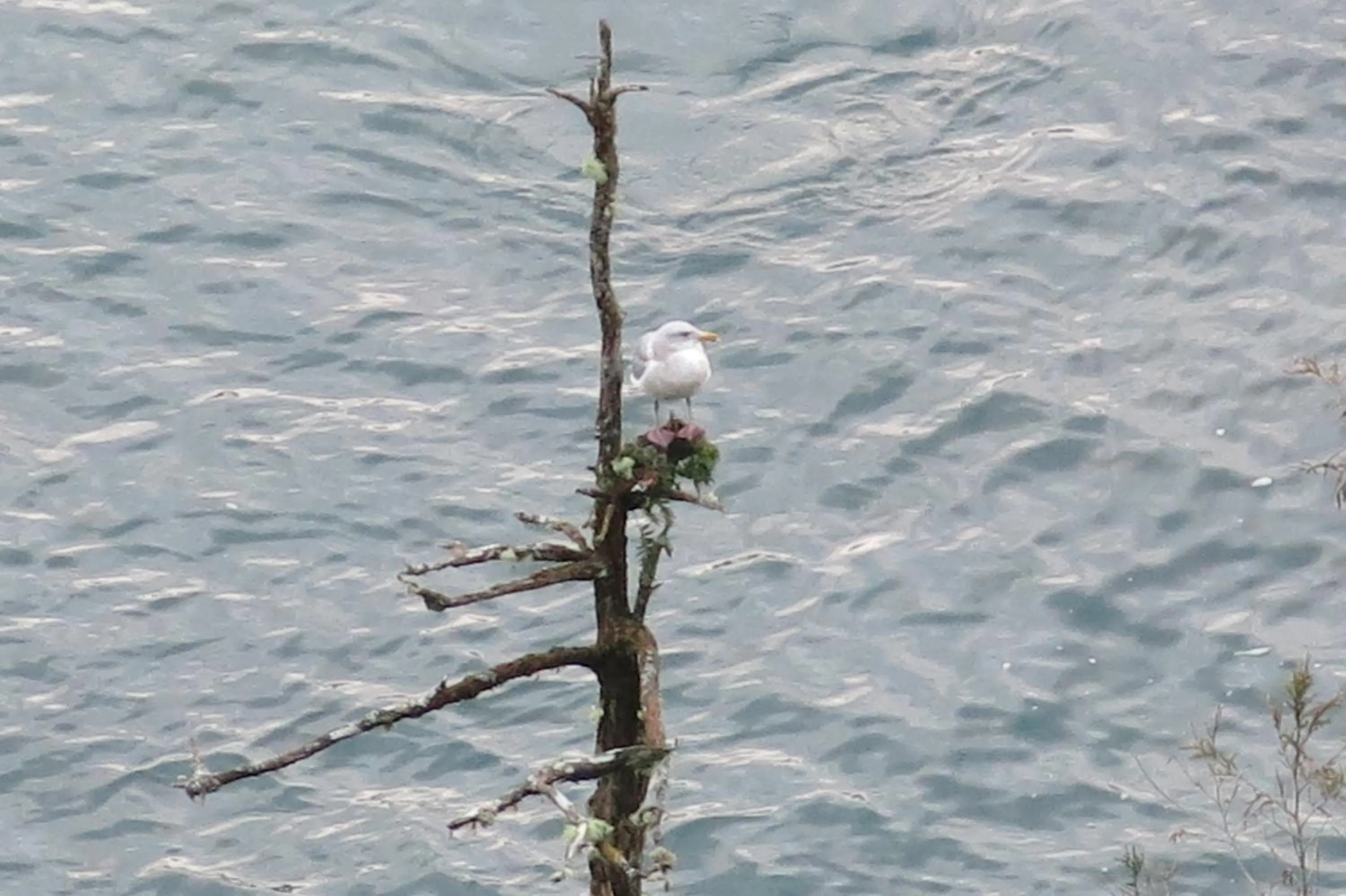 Sea view in A Shack In The Woods