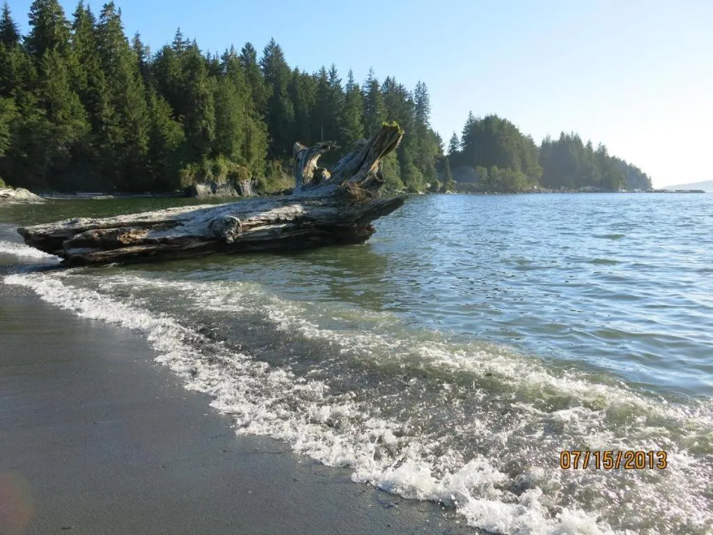 Natural landscape in A Shack In The Woods