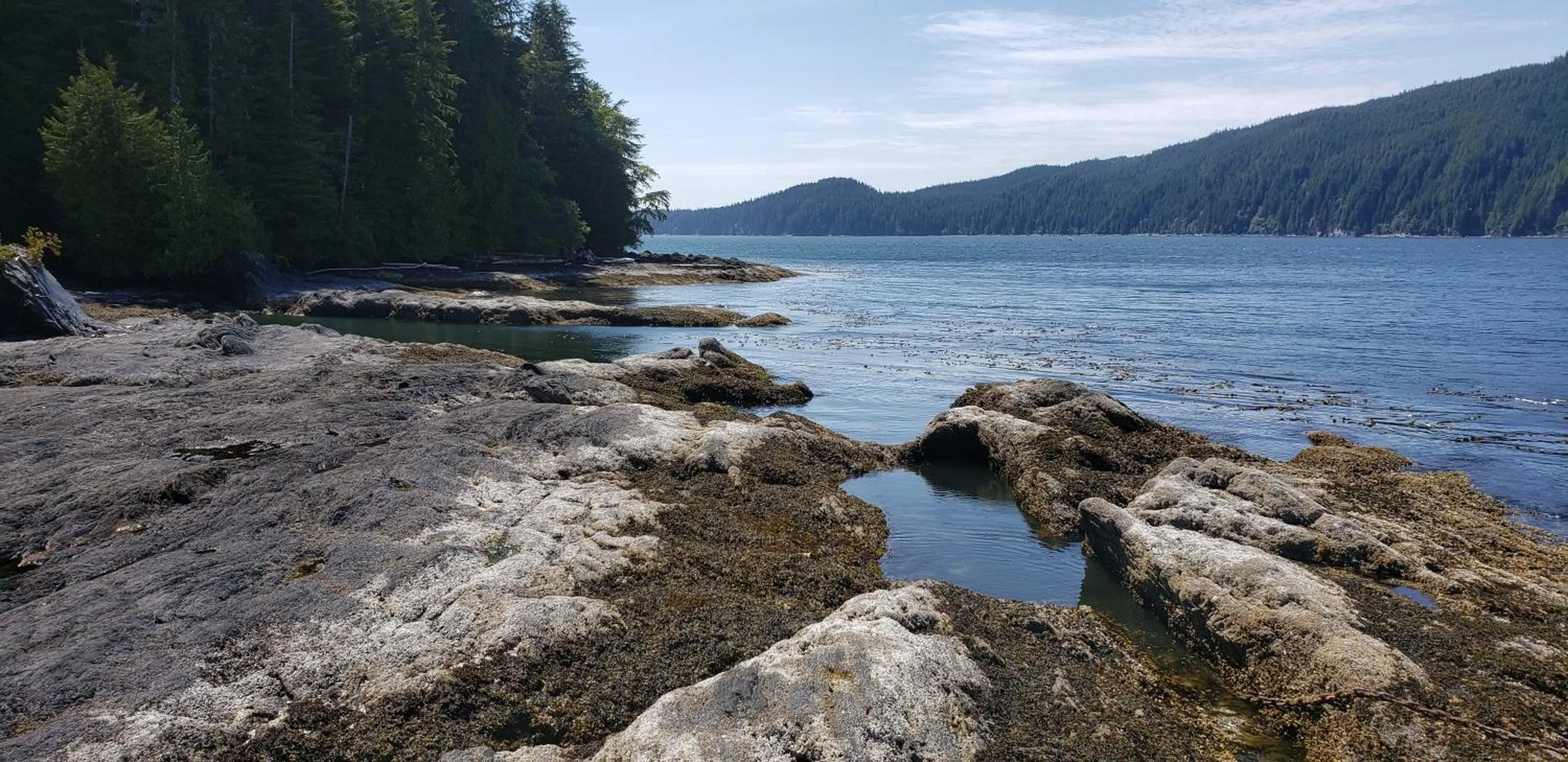 Natural landscape in A Shack In The Woods
