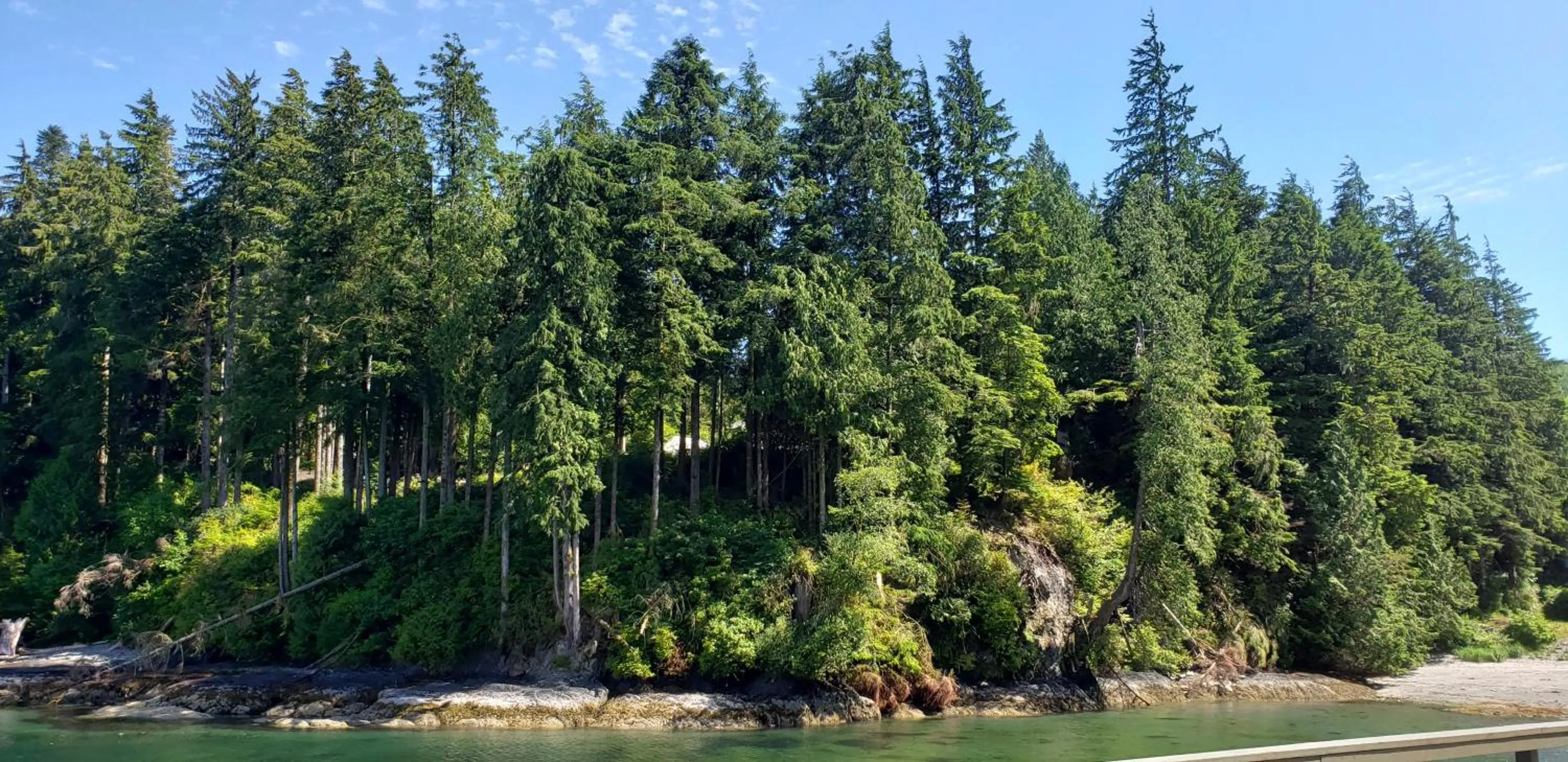 Natural landscape in A Shack In The Woods