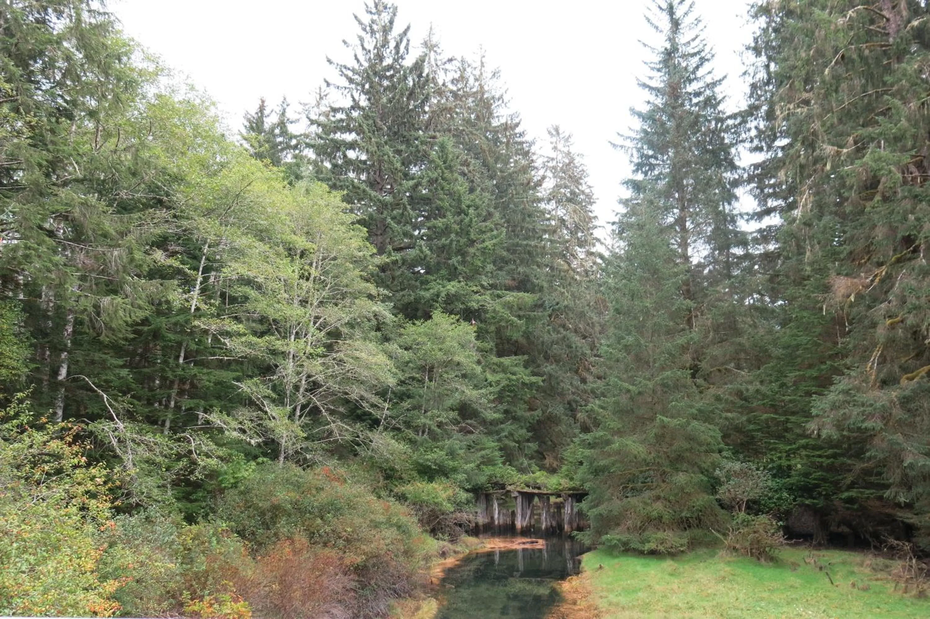 Natural landscape in A Shack In The Woods
