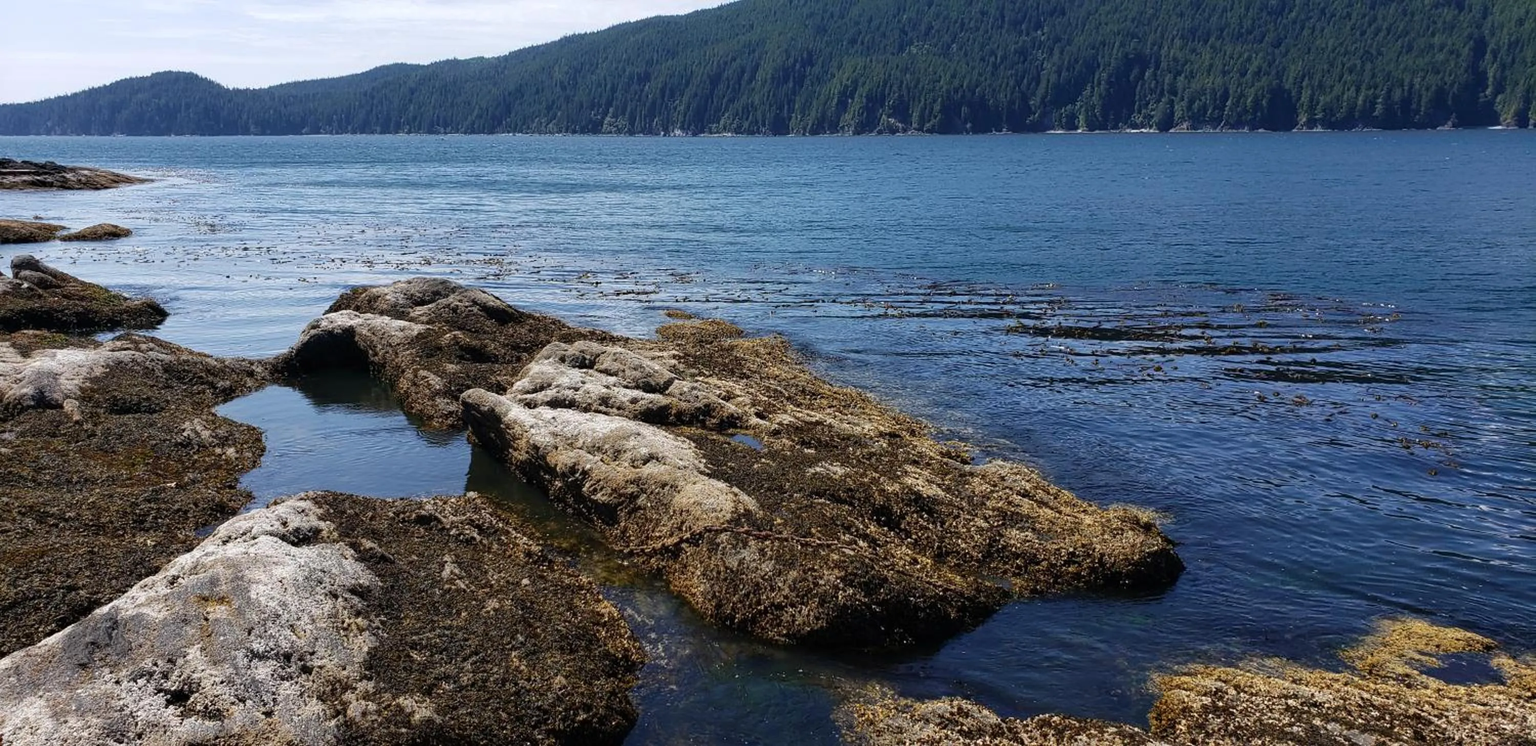 Natural landscape in A Shack In The Woods