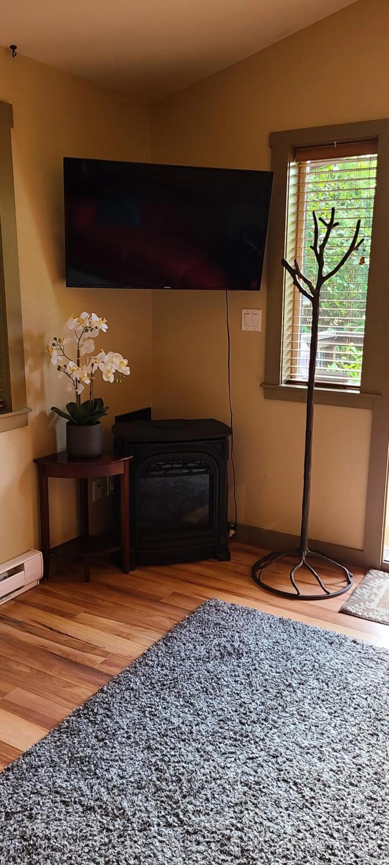 TV and multimedia in A Shack In The Woods