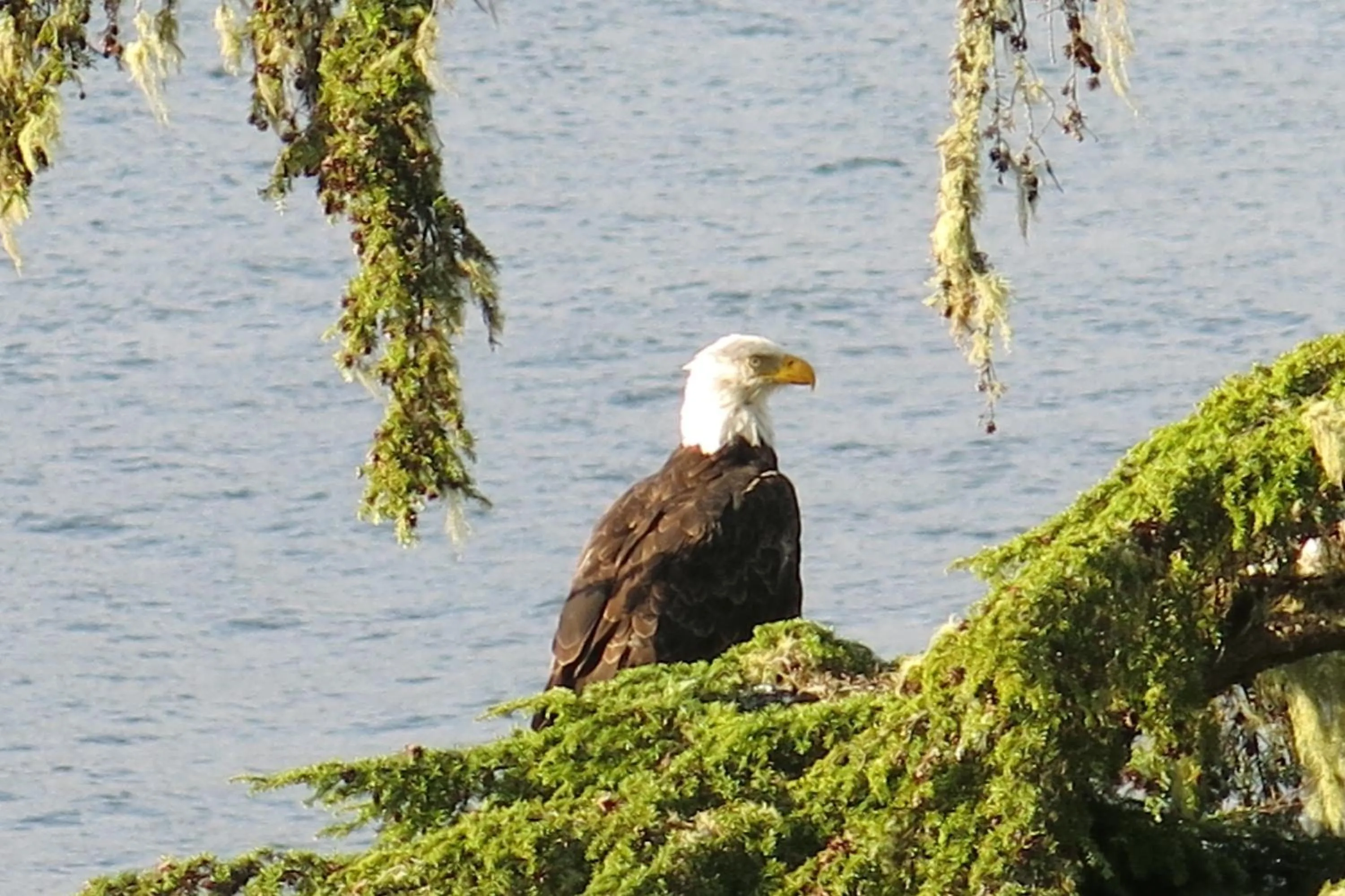 Natural landscape in A Shack In The Woods