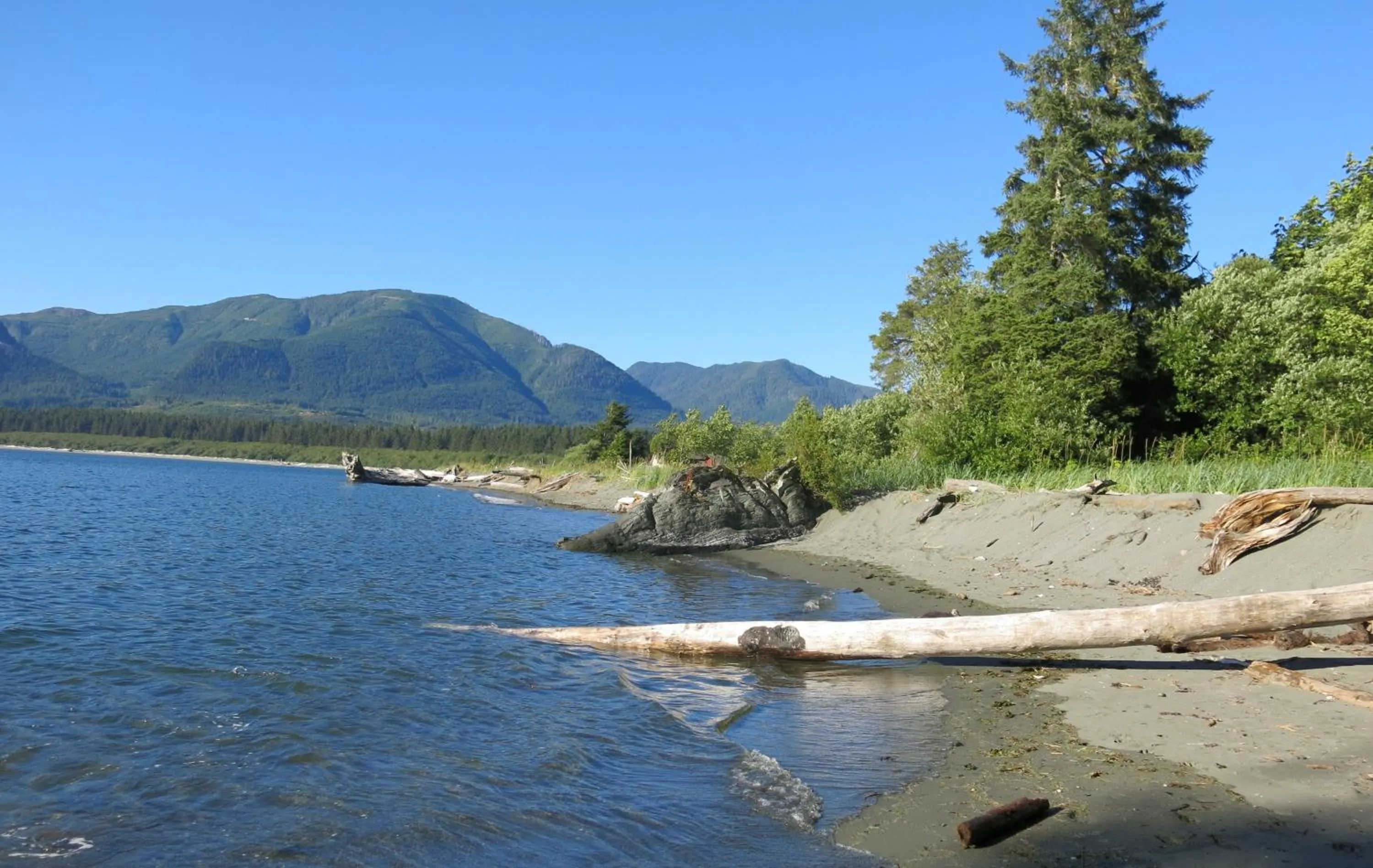 Activities in A Shack In The Woods